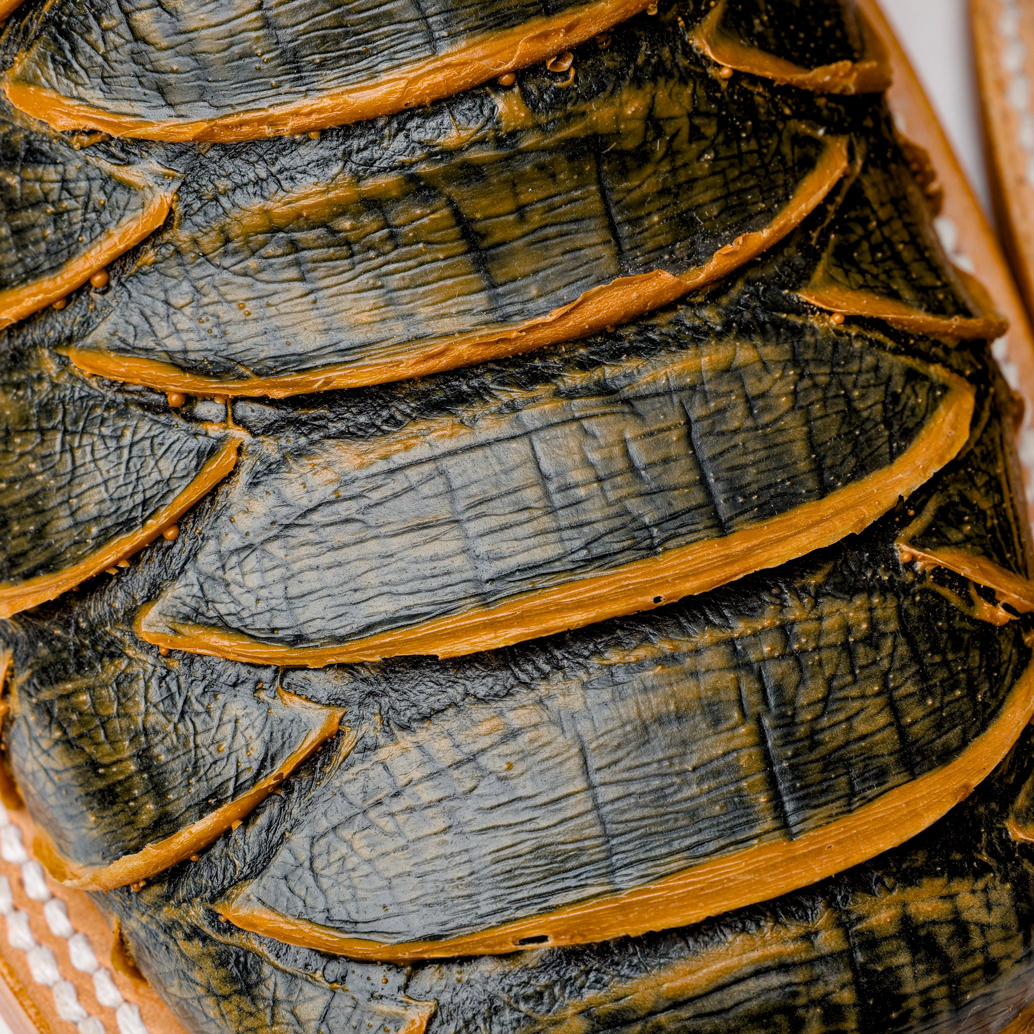 Light Rustic Brown Python Leather Boots - Square Toe