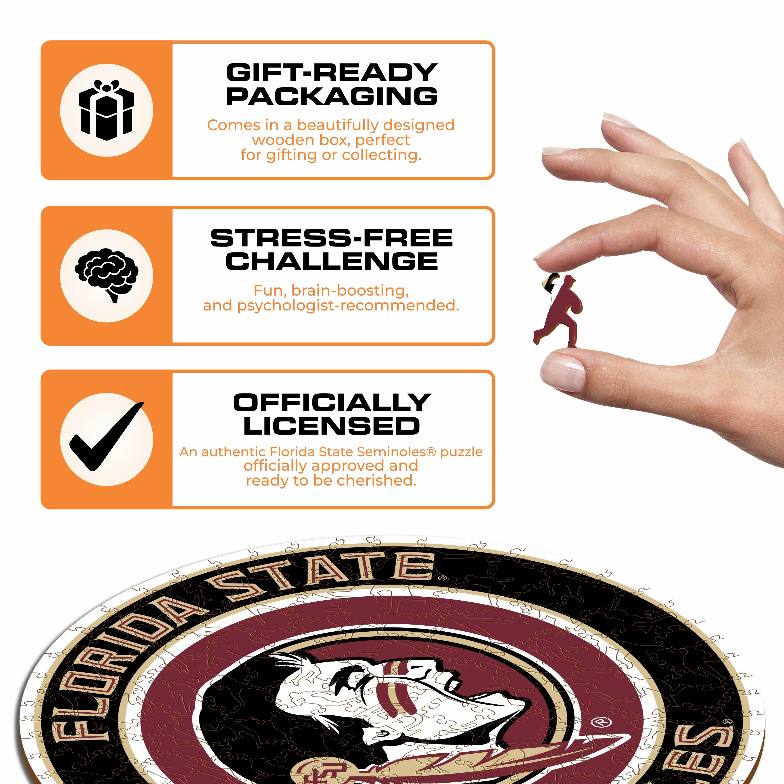Florida State University - Wooden Puzzle