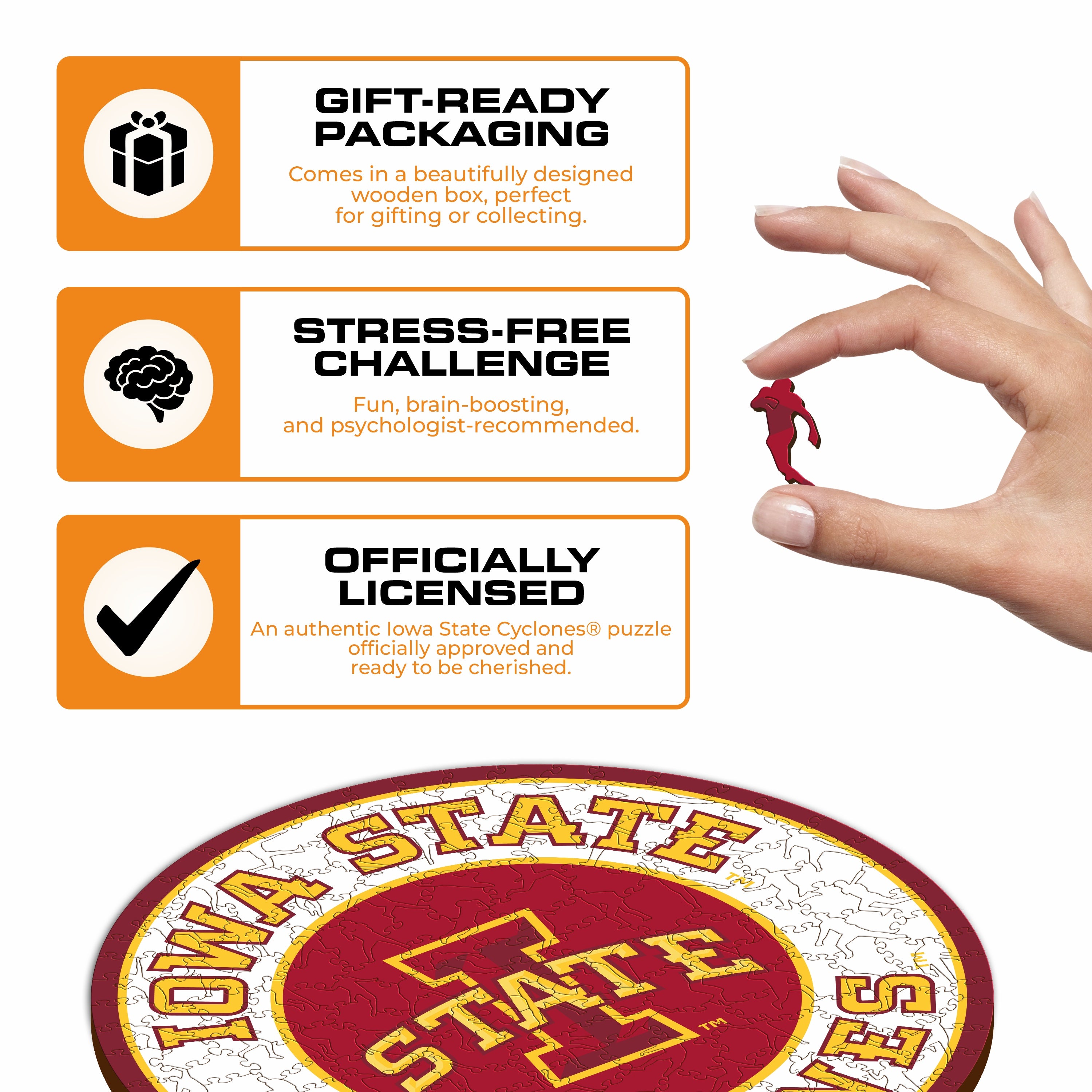 Iowa State University - Wooden Puzzle