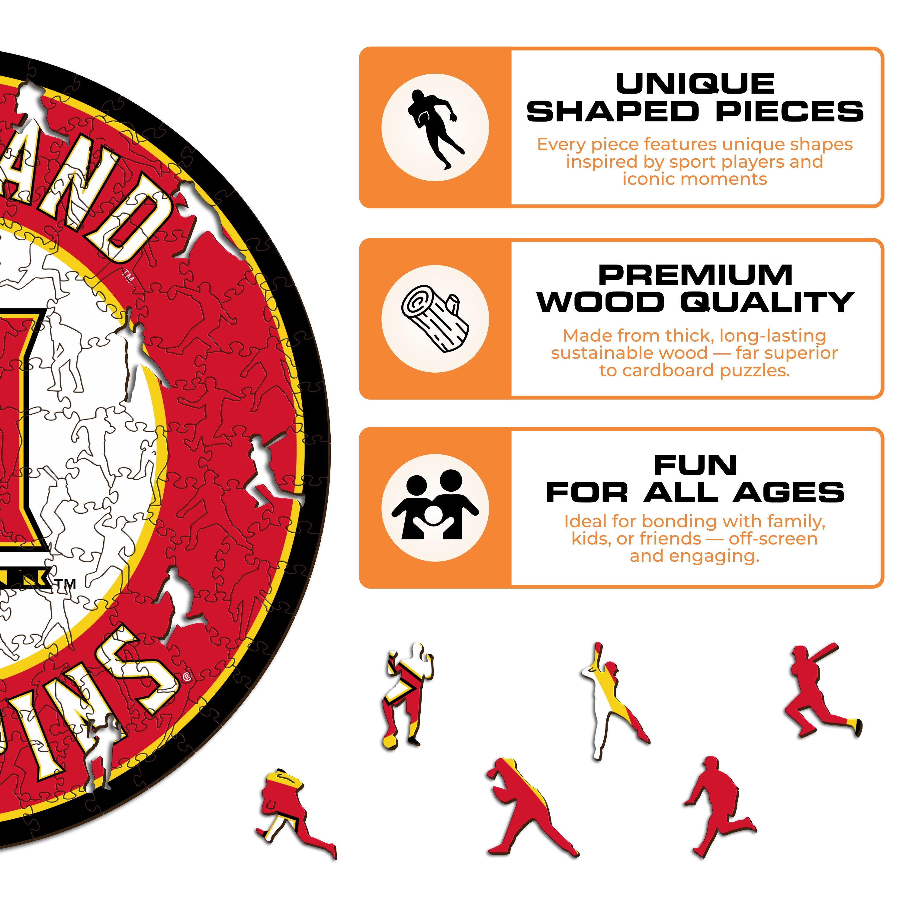 University of Maryland - Wooden Puzzle