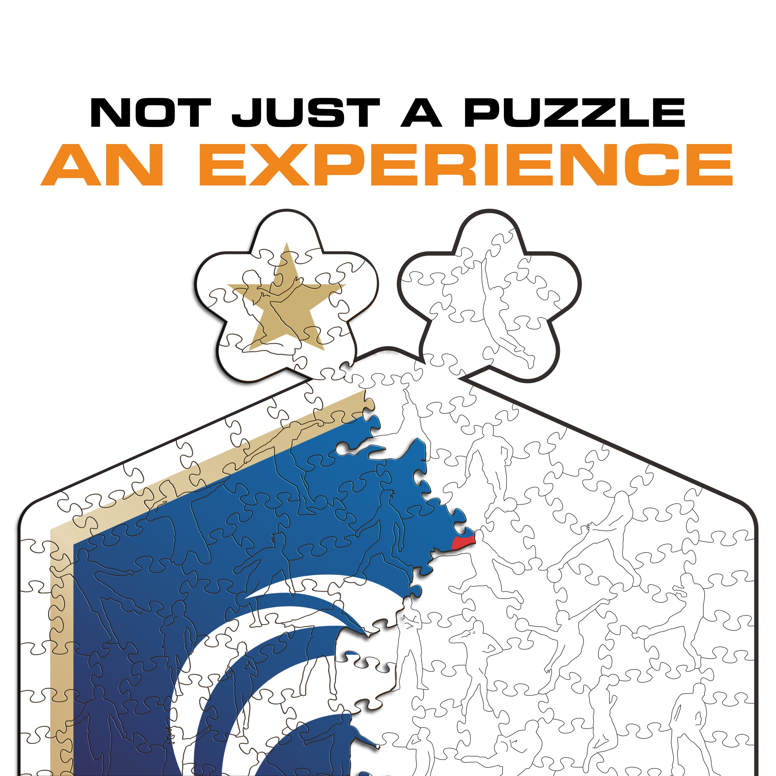 France® Logo - Wooden Puzzle