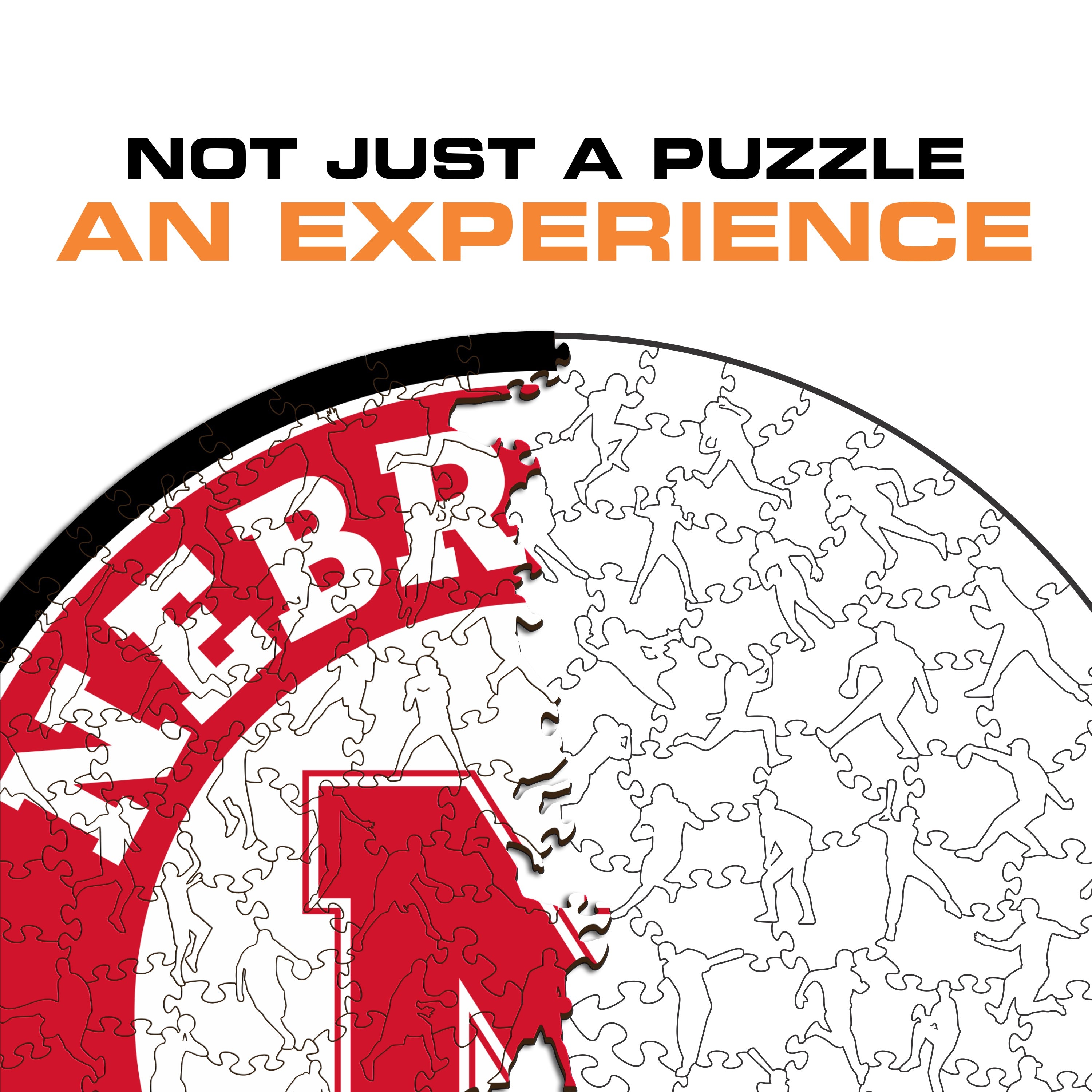 University of Nebraska - Wooden Puzzle