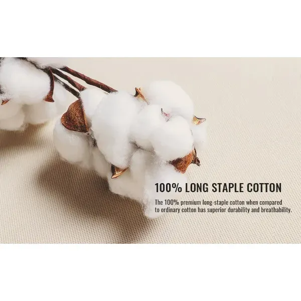 🔥Last Day 89% OFF🔥Women's Fall 2-Piece Set – Top & Wide-Leg Pants