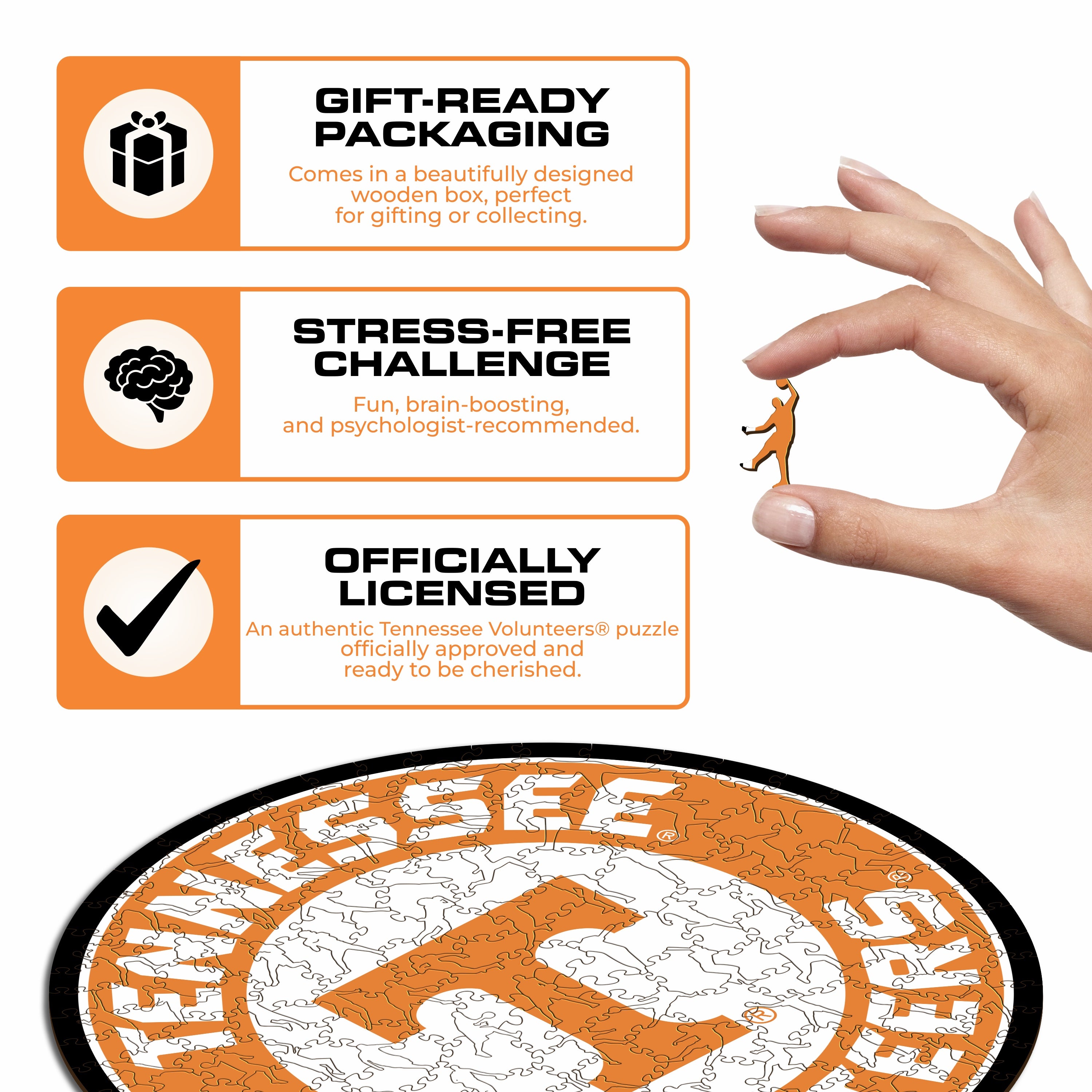 University of Tennessee - Wooden Puzzle