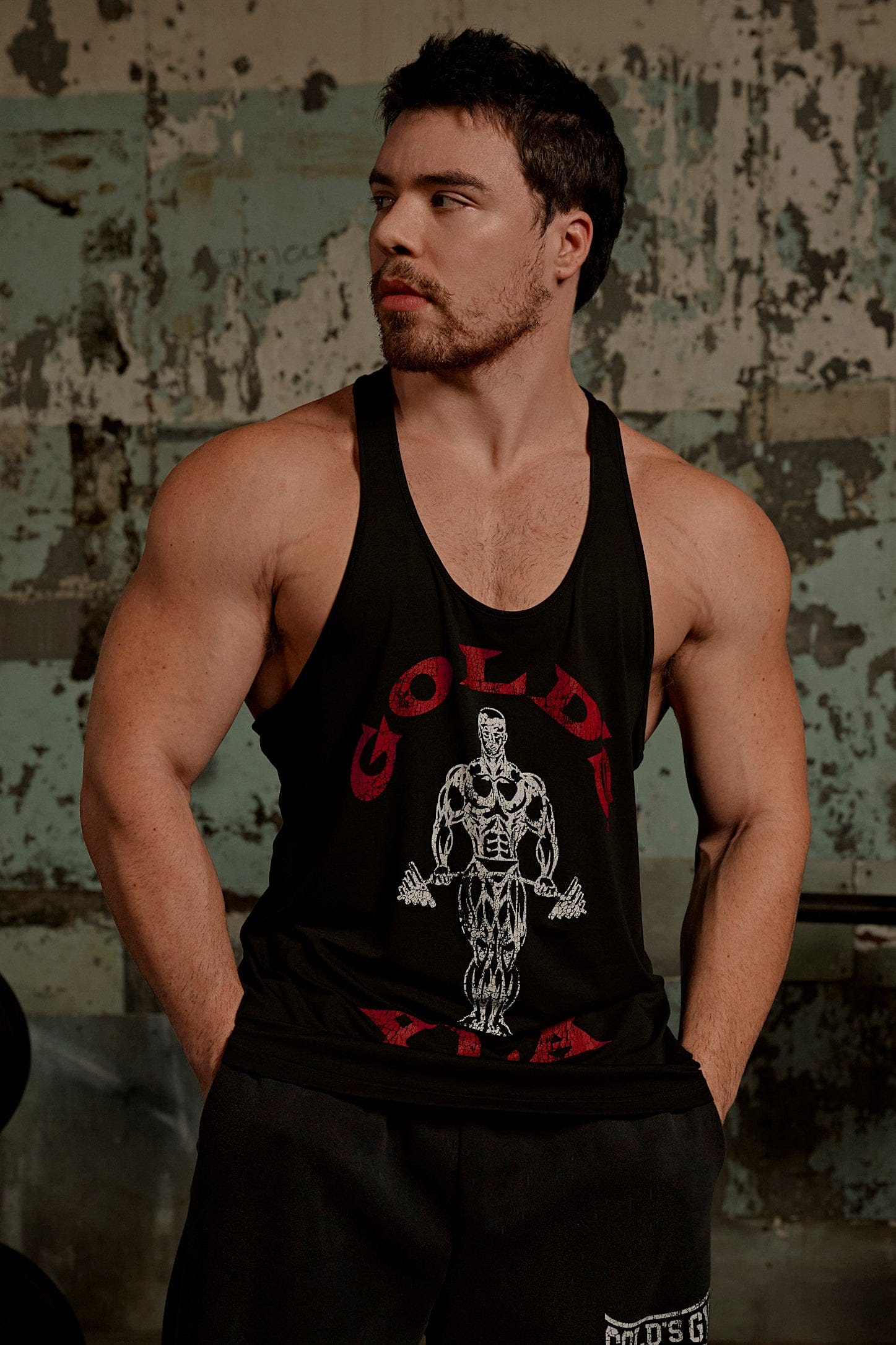 3003 - Gold's Iron Legacy Icon Stringers