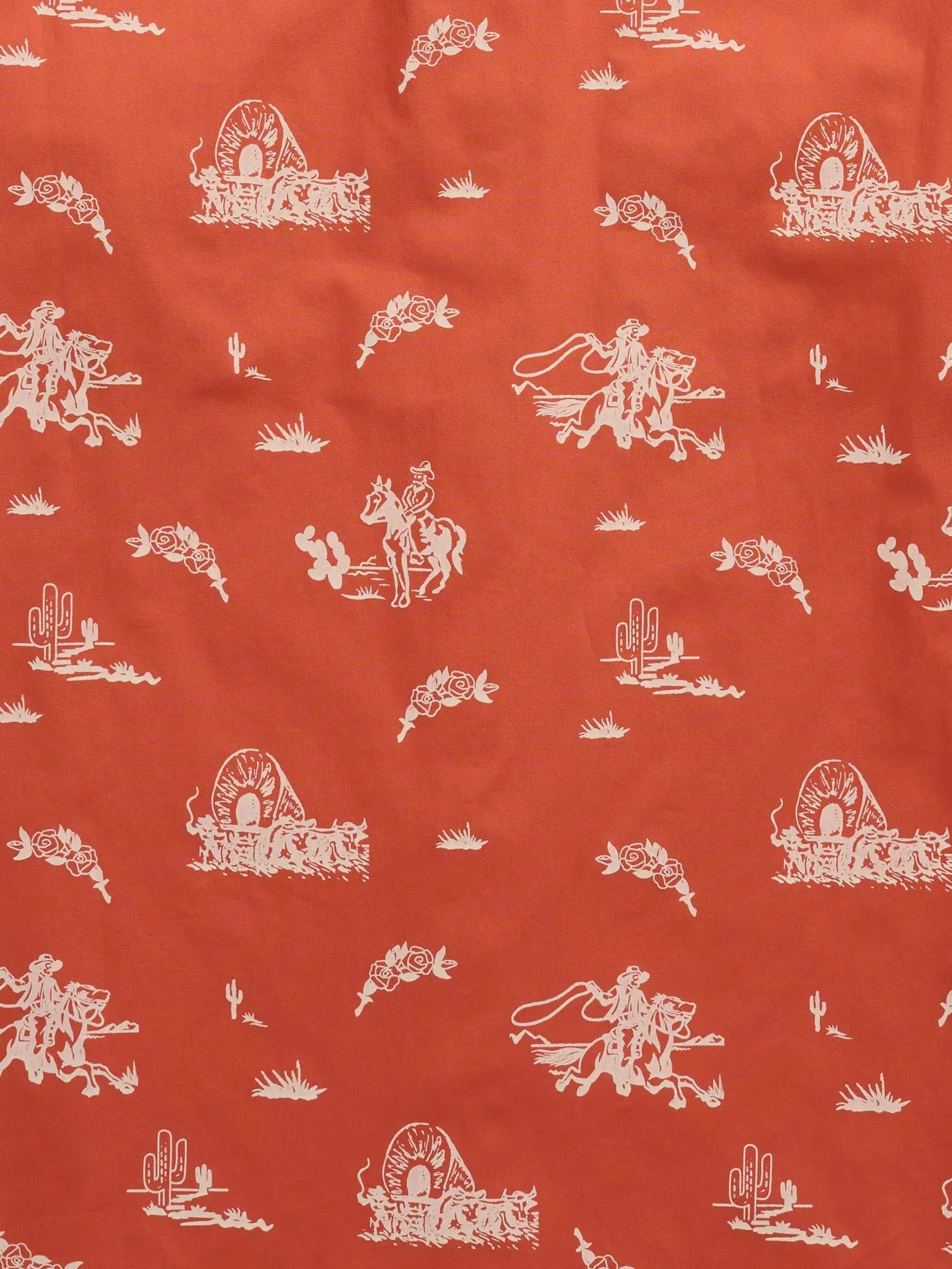 Men’s Cowboy Print Western Snap Shirt