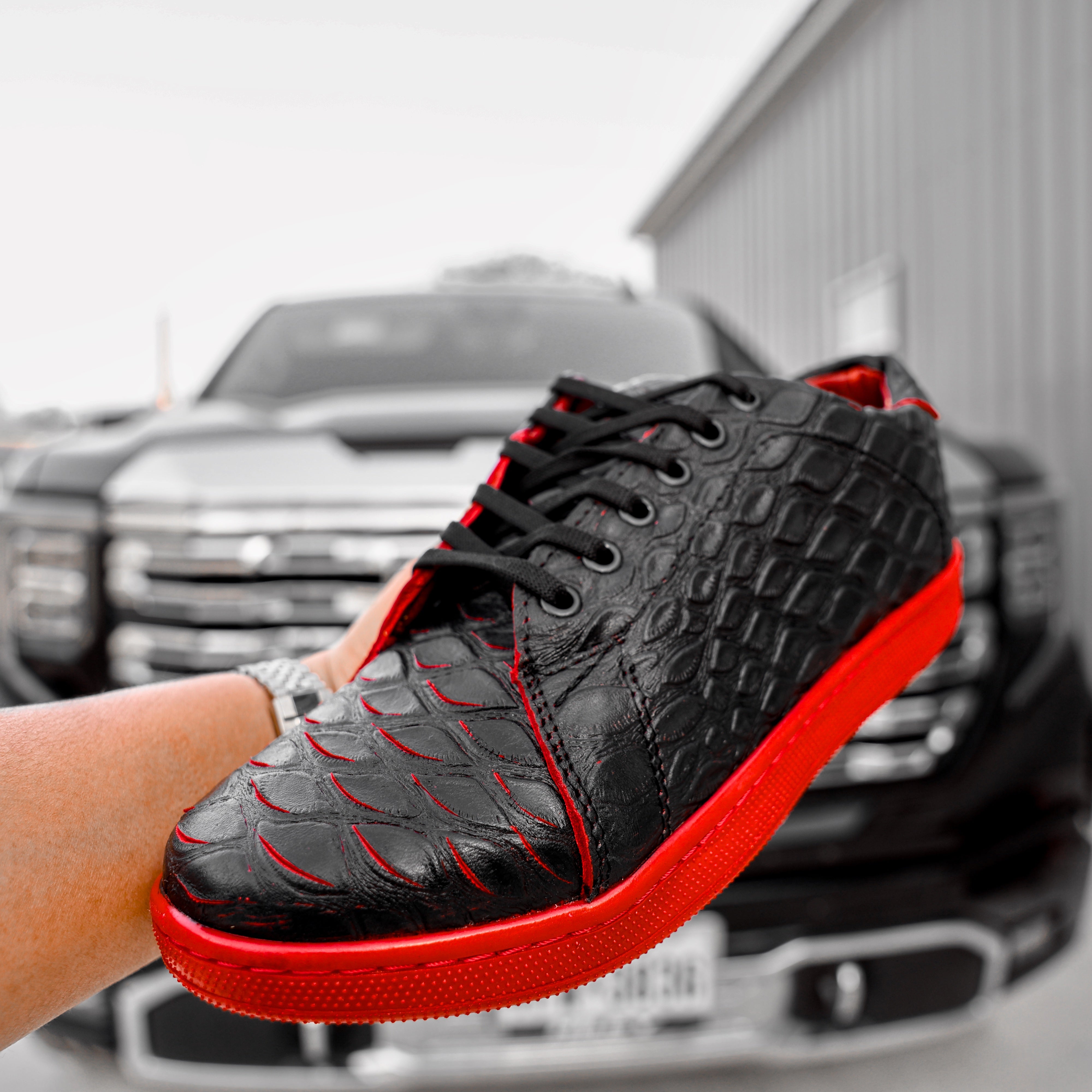 Black/Red Anteater Leather Shoes