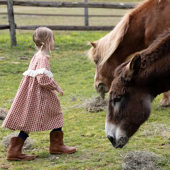 Girl's Dixie Pony Gingham Dress
