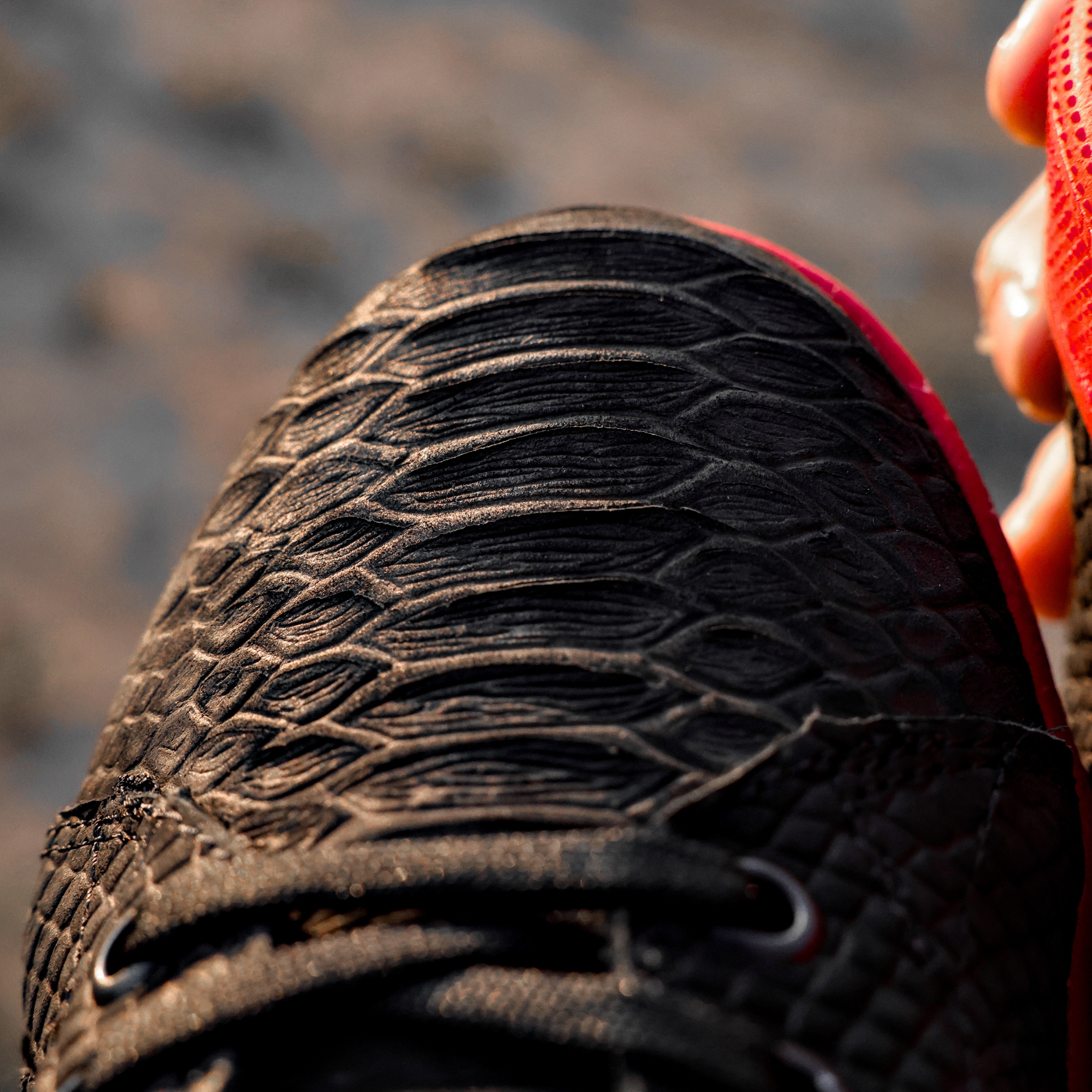 Matte Black Python Leather Shoes