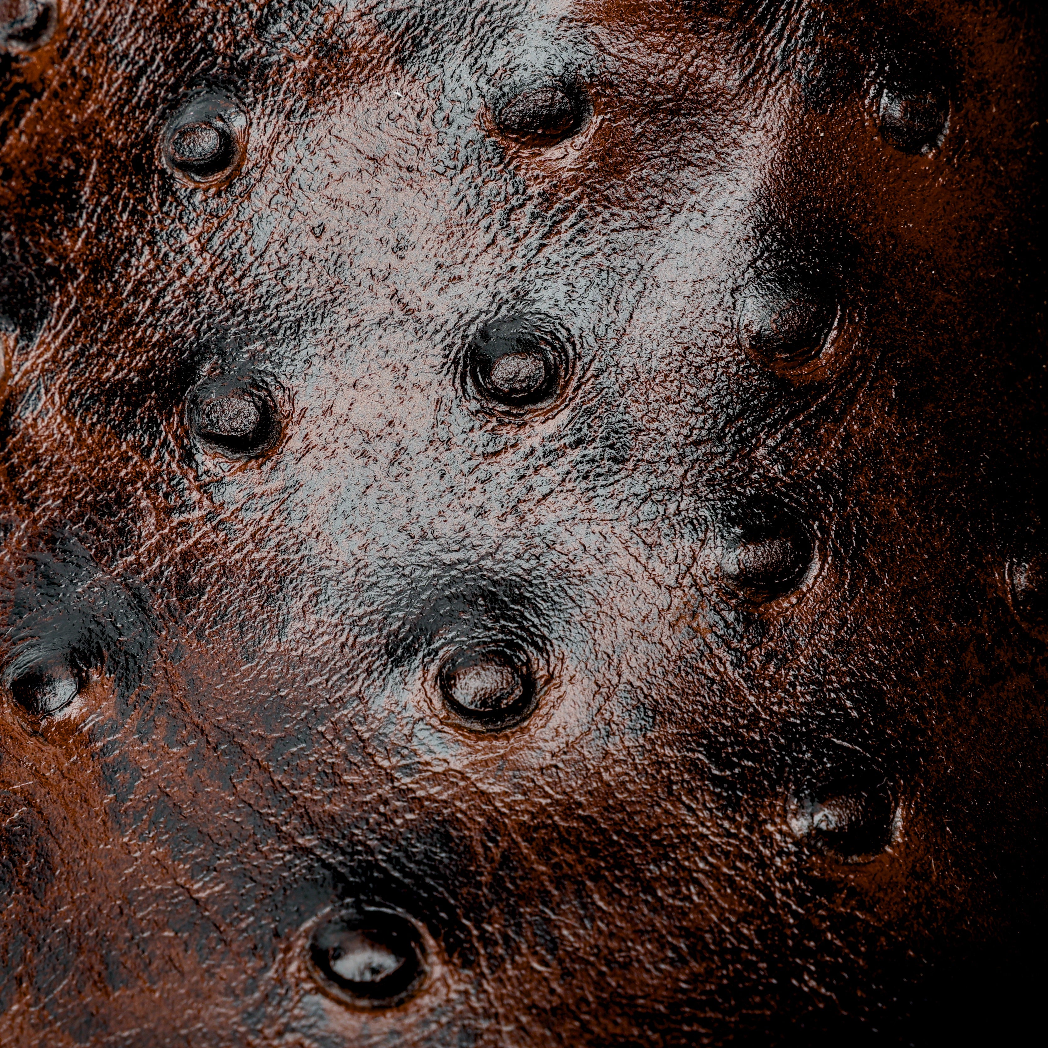 Chocolate Brown Ostrich Leather Boots - Square Toe