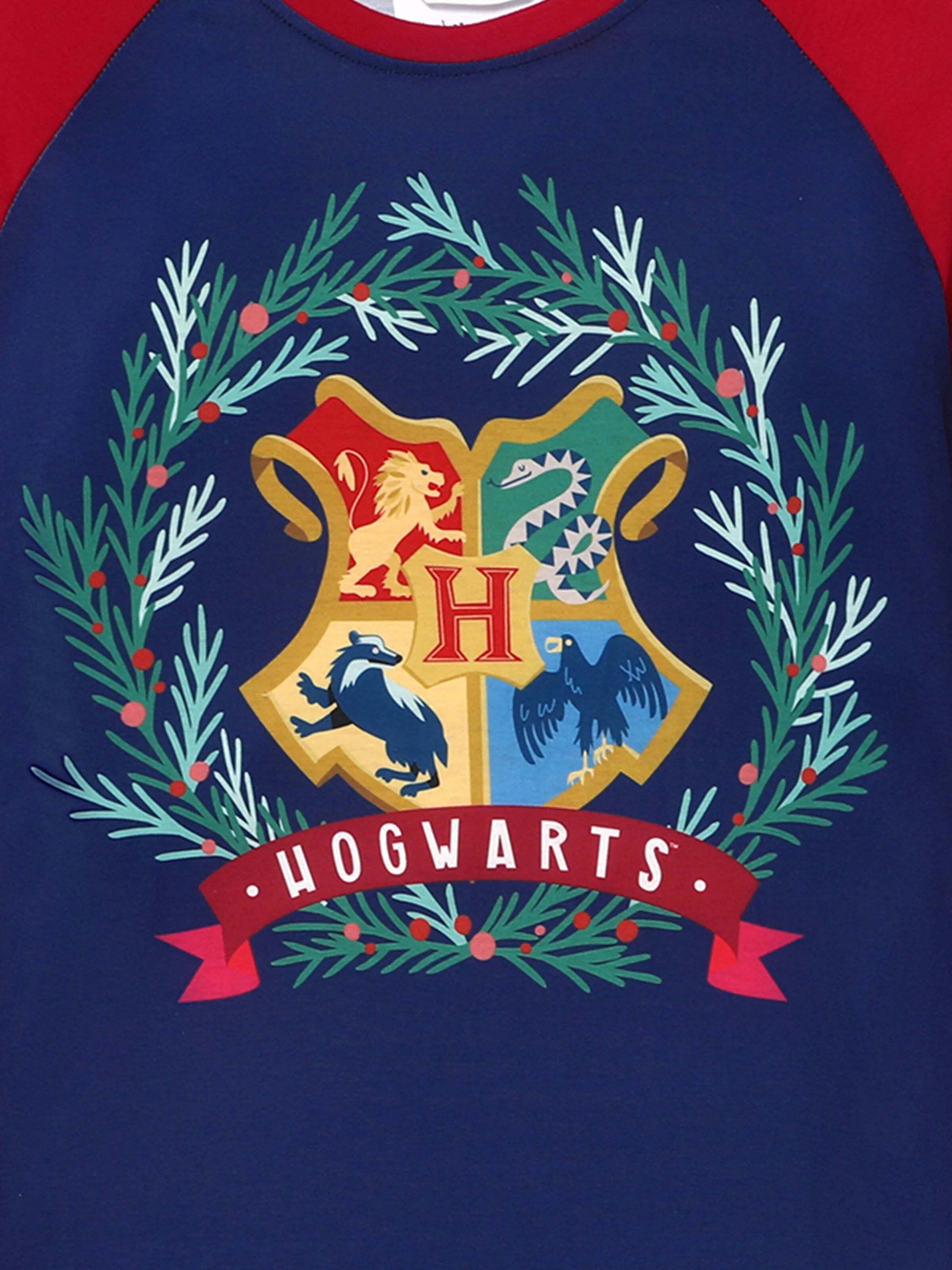 Christmas Family Matching Hogwarts Print Pajamas Sets with Christmas Socks