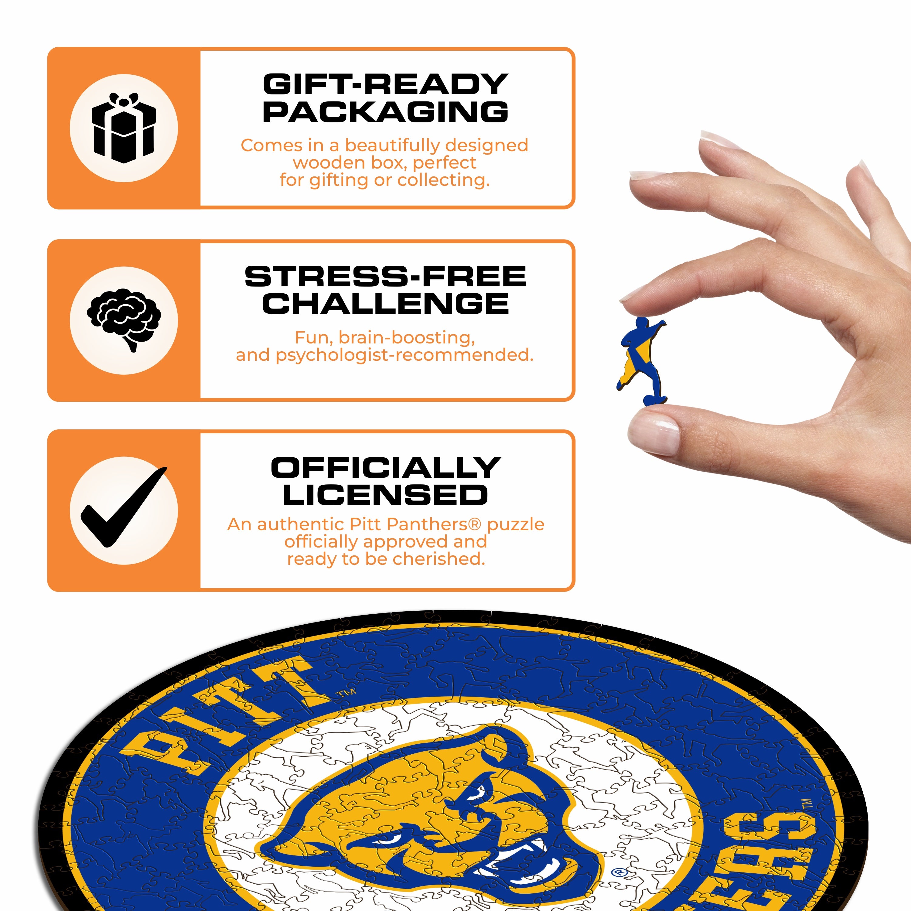 University of Pittsburgh - Wooden Puzzle