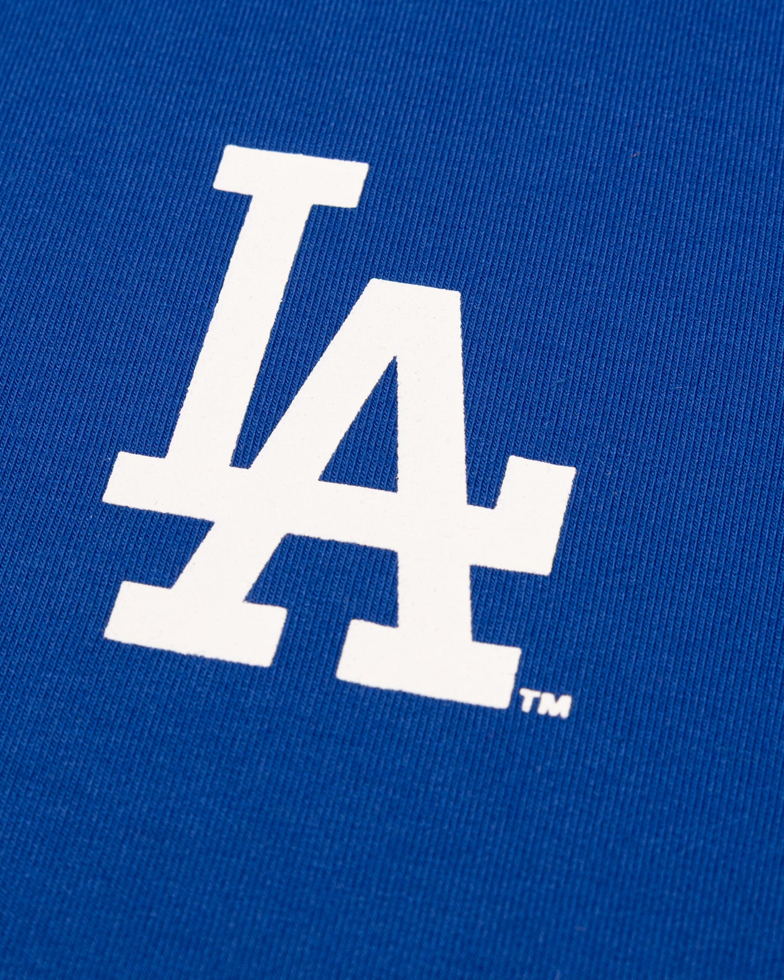 Short Sleeve Youth Hoodie - Los Angeles Dodgers
