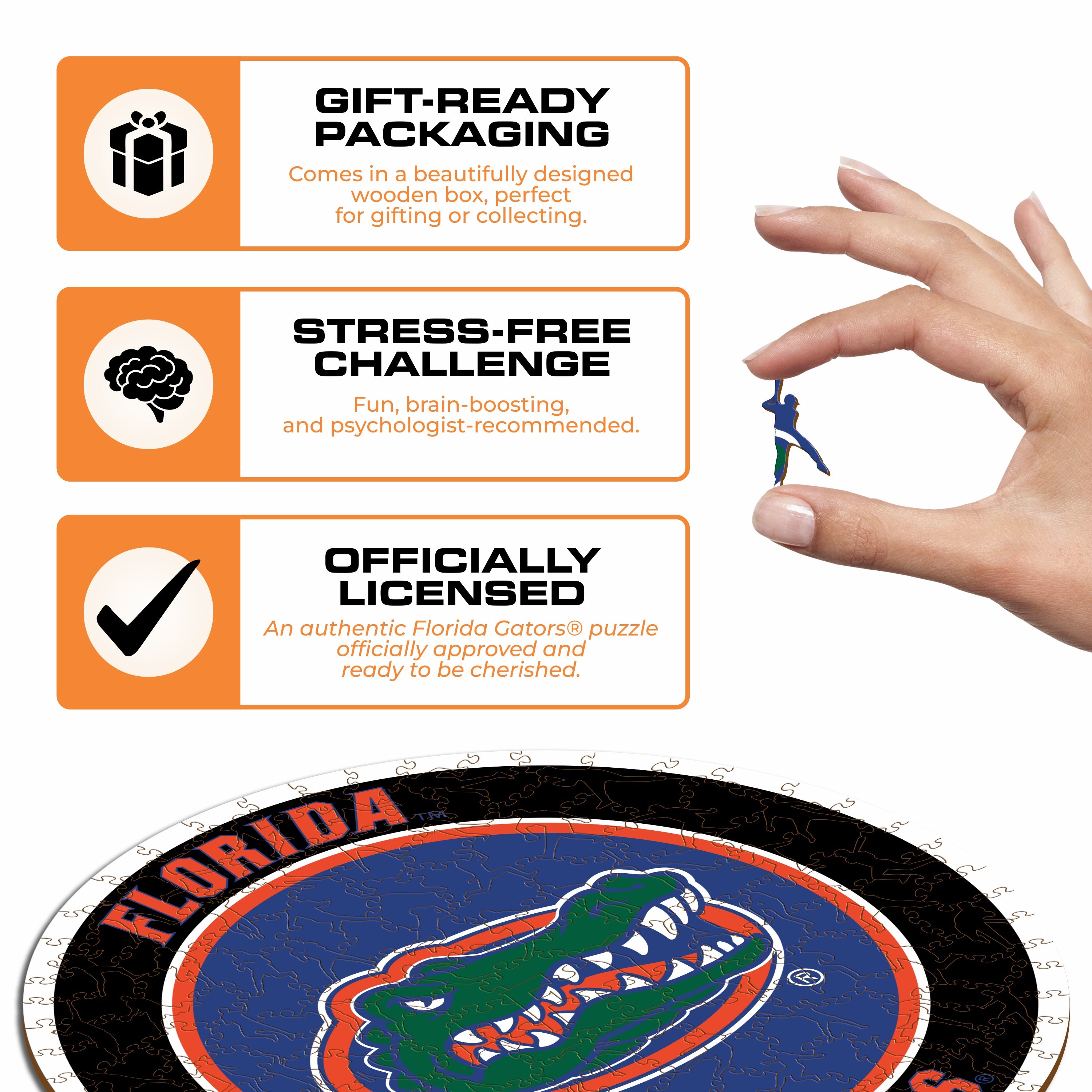 University of Florida - Wooden Puzzle