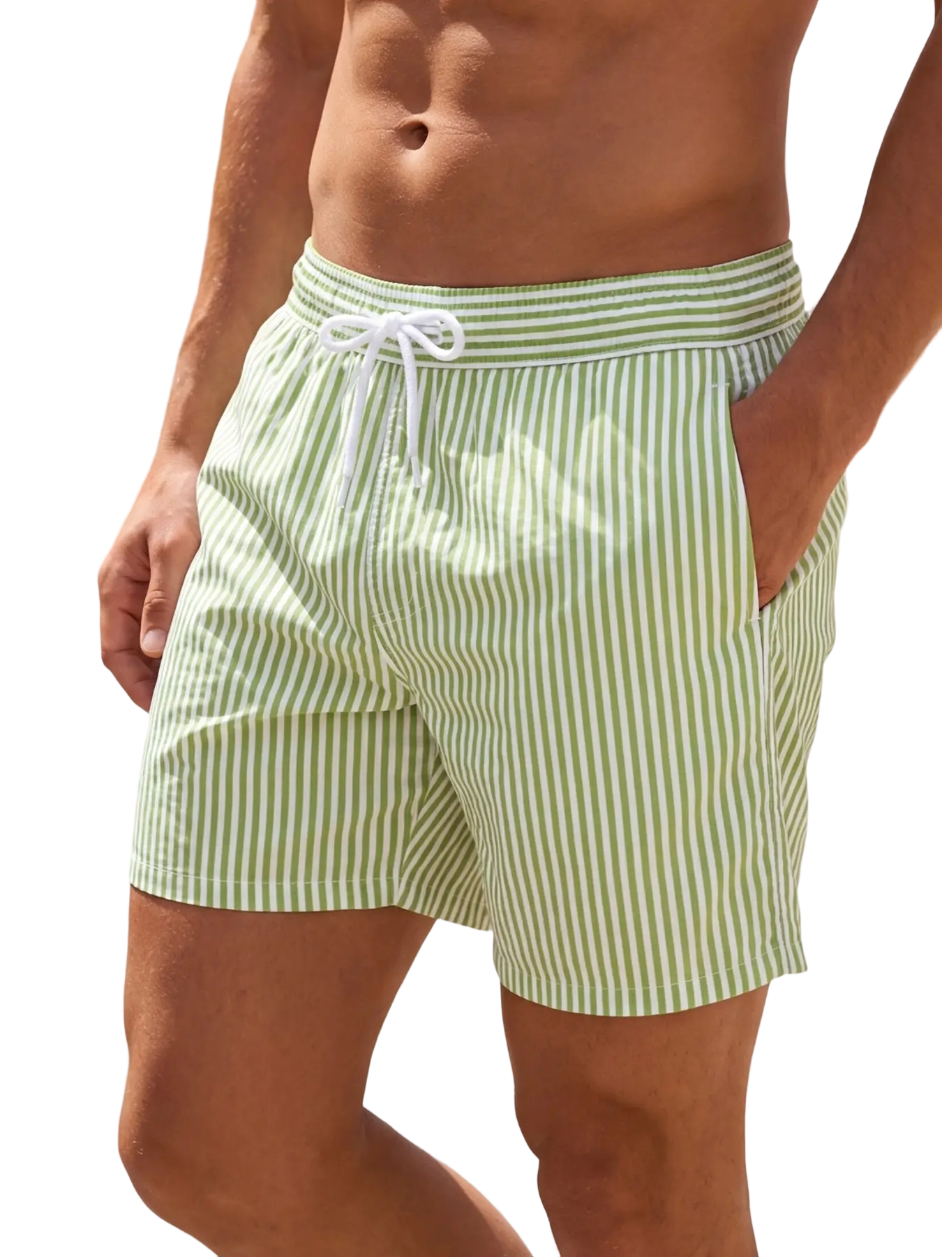 Men's Regular Fit Striped Print Shorts