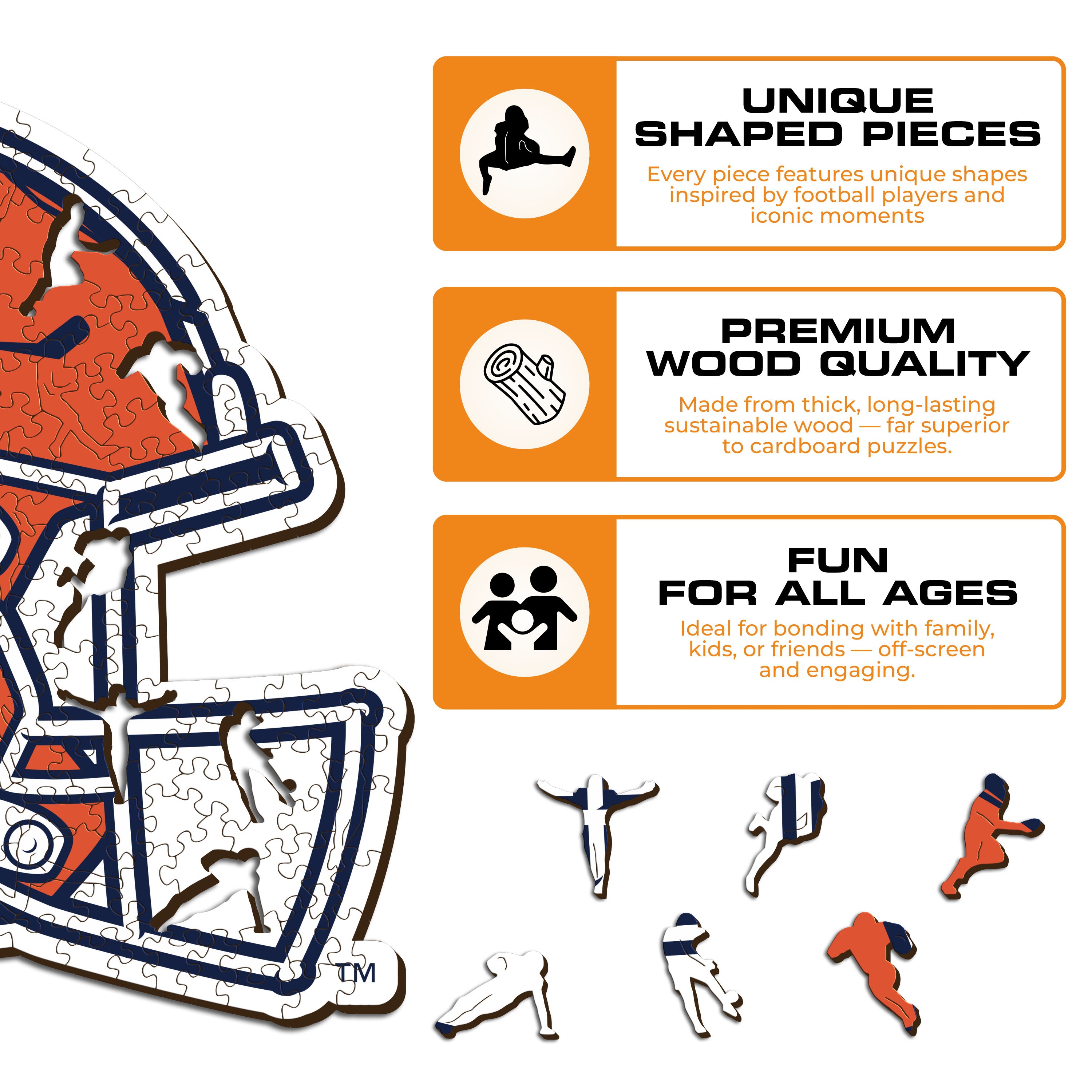 University of Illinois Helmet - Wooden Puzzle