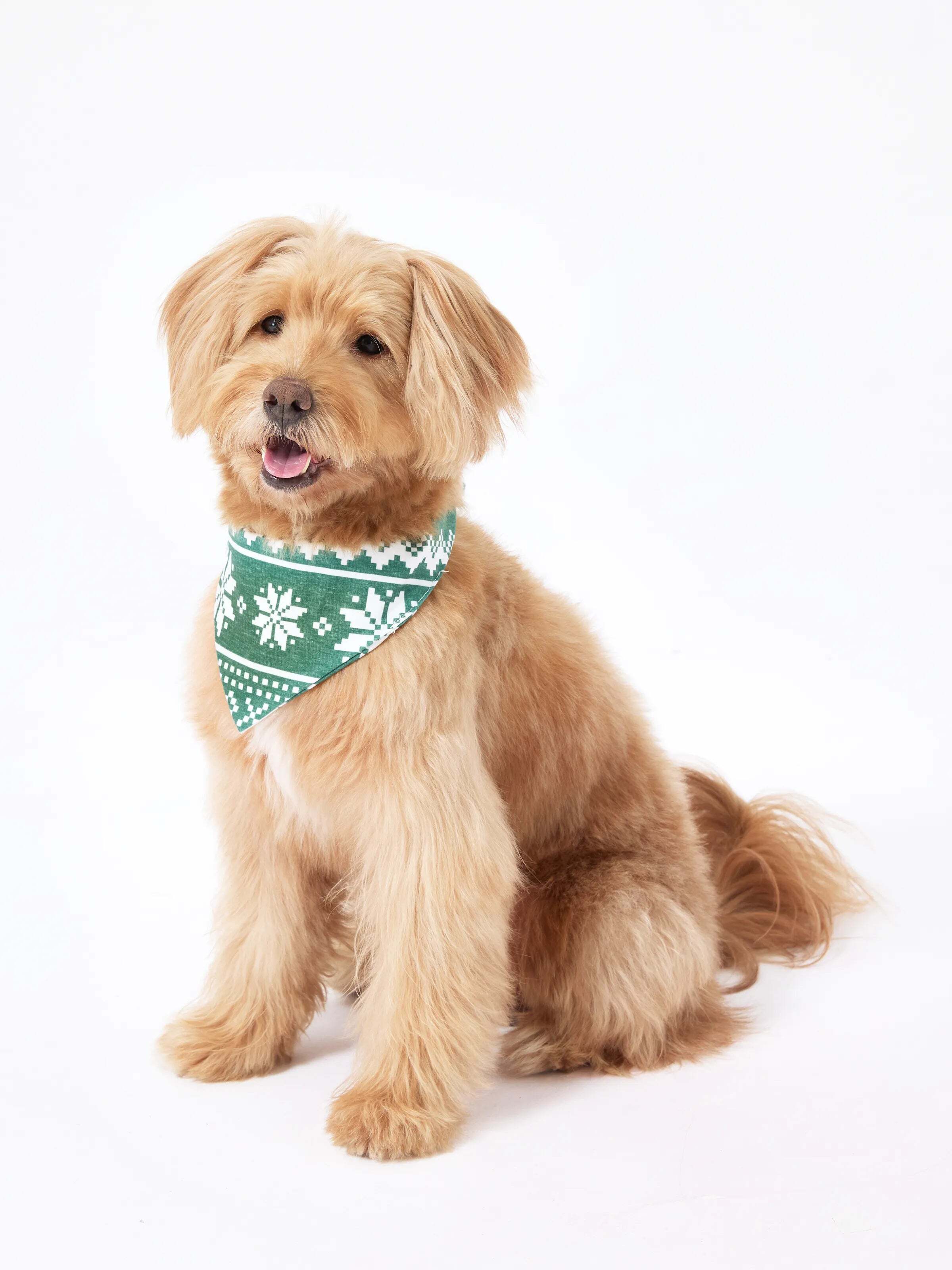 Christmas Matching Family Pajamas Set Reindeer and Snowflake Green Print PJS with Christmas Socks Dark Green