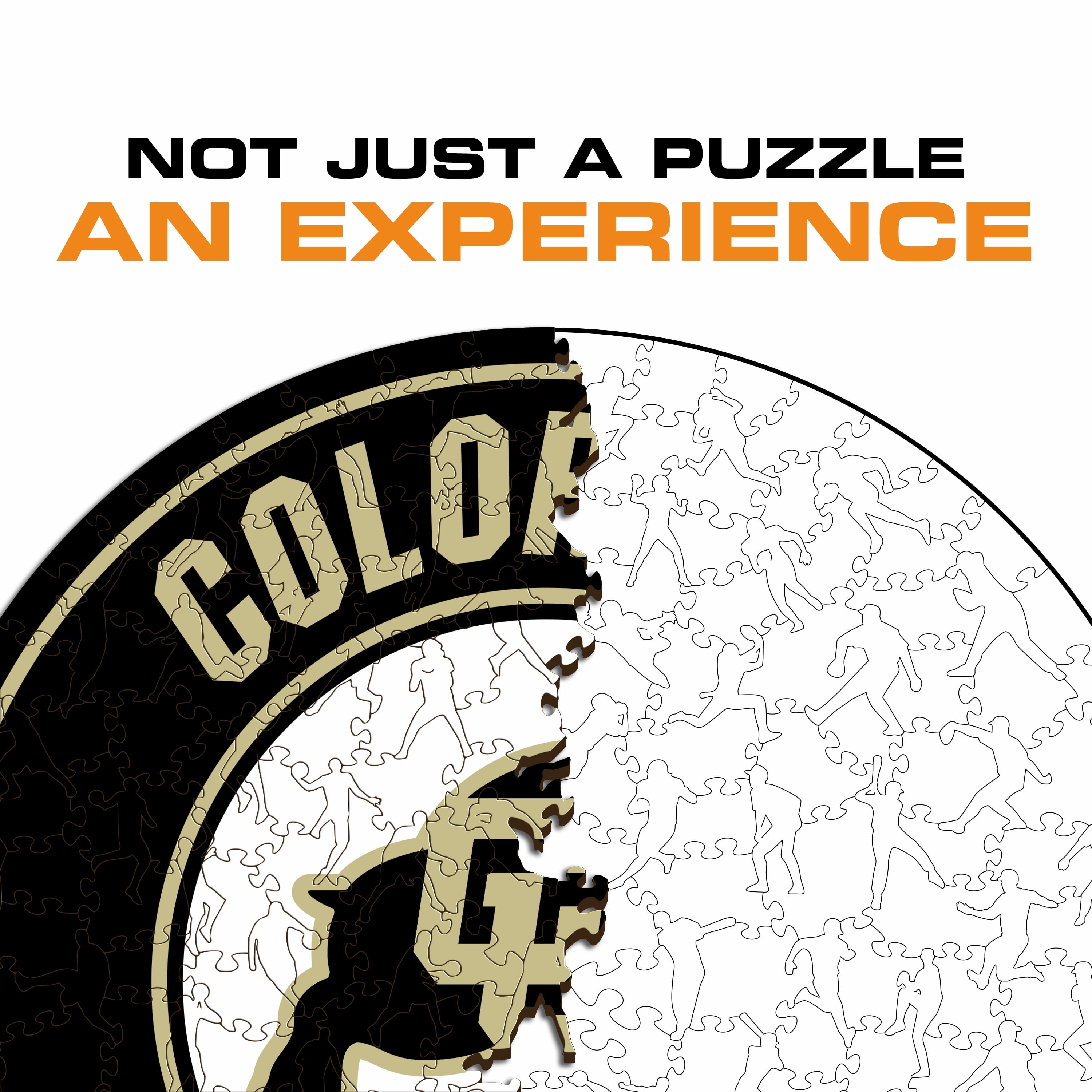 University of Colorado - Wooden Puzzle