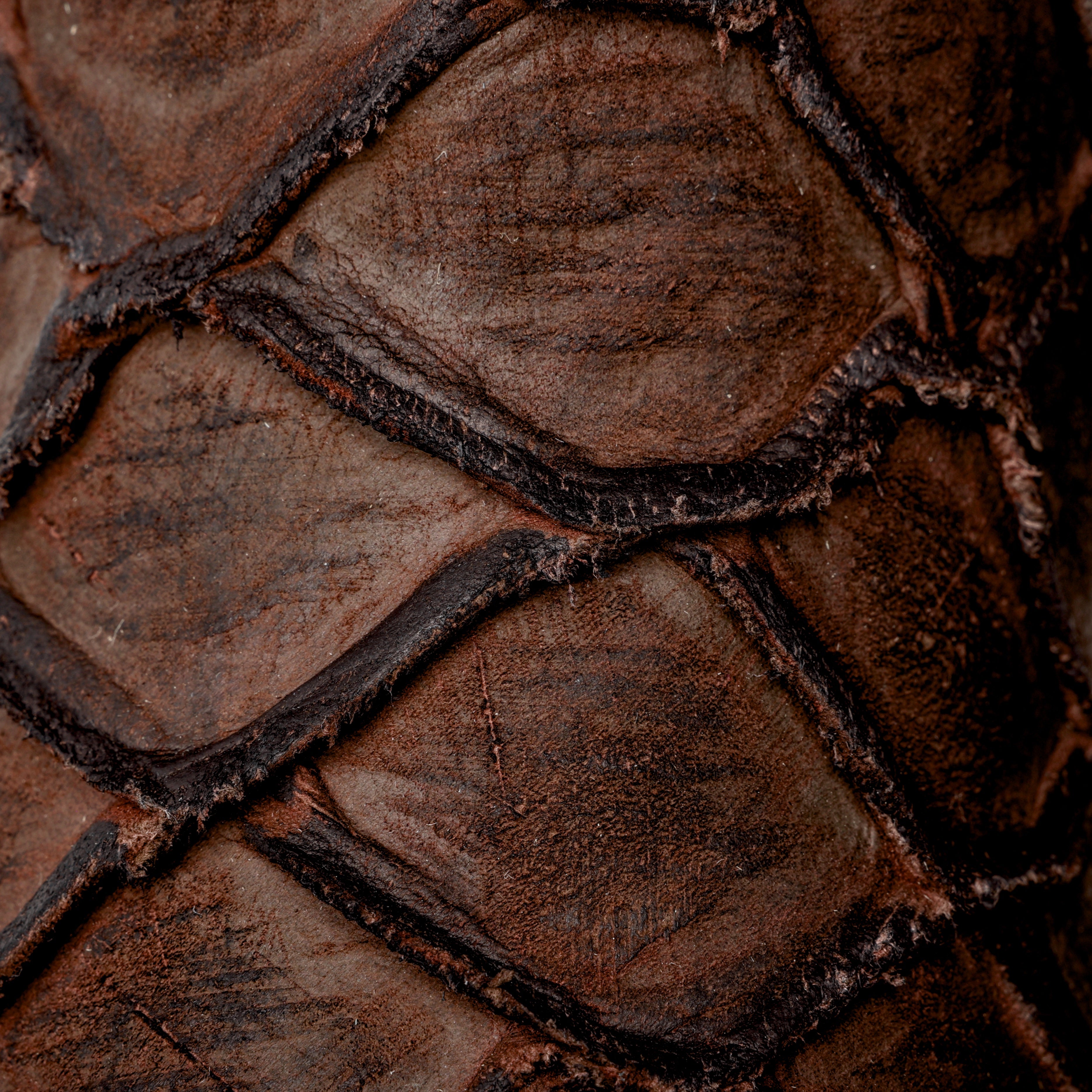 Matte Chocolate Pirarucu Leather Boots - Square Toe