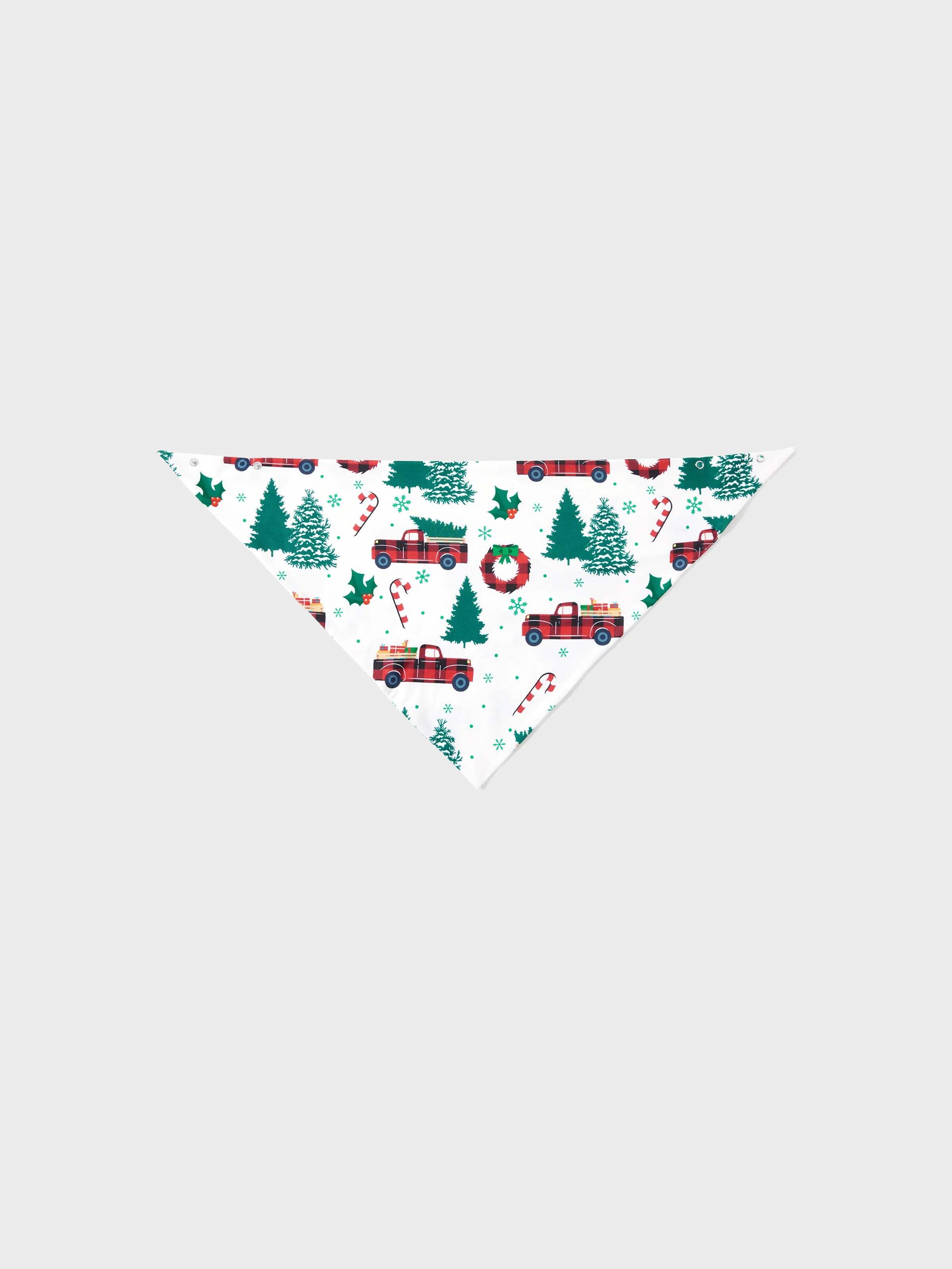 Christmas Family Matching Allover Xmas Tree & Car Print Long-sleeve Pajamas Sets with Christmas Socks Multi-color