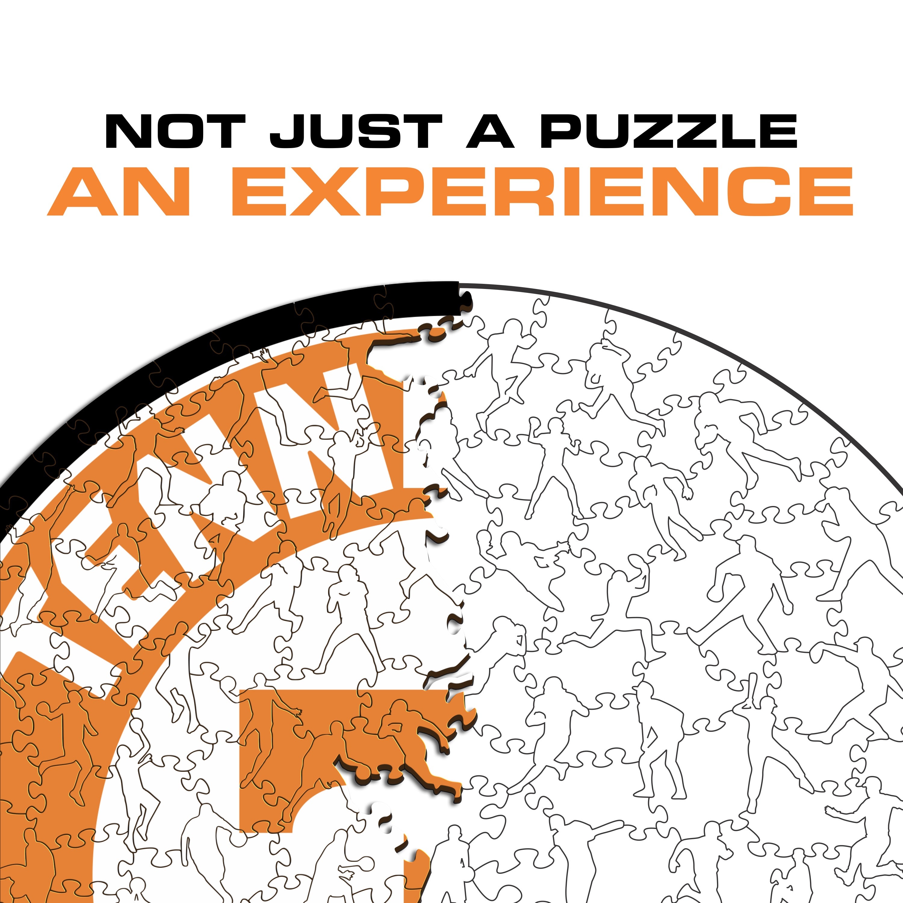 University of Tennessee - Wooden Puzzle