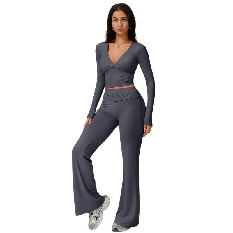 Elegant Casual V-Neck Long Sleeve Basic Two-Piece Outfit Set