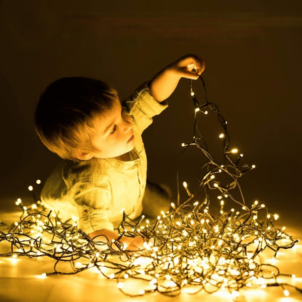 🎄Outdoor and Indoor Christmas Lights