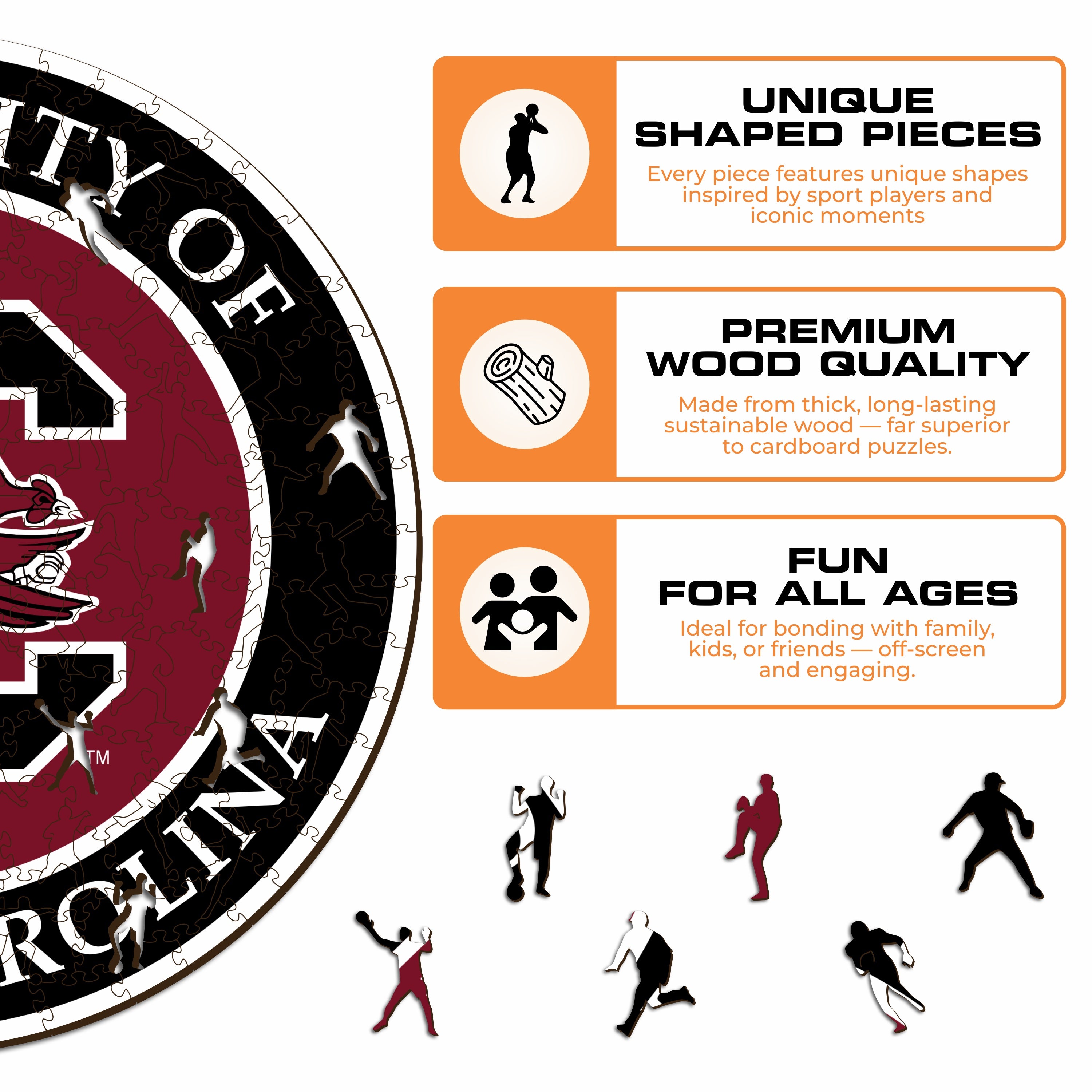 University of South Carolina - Wooden Puzzle