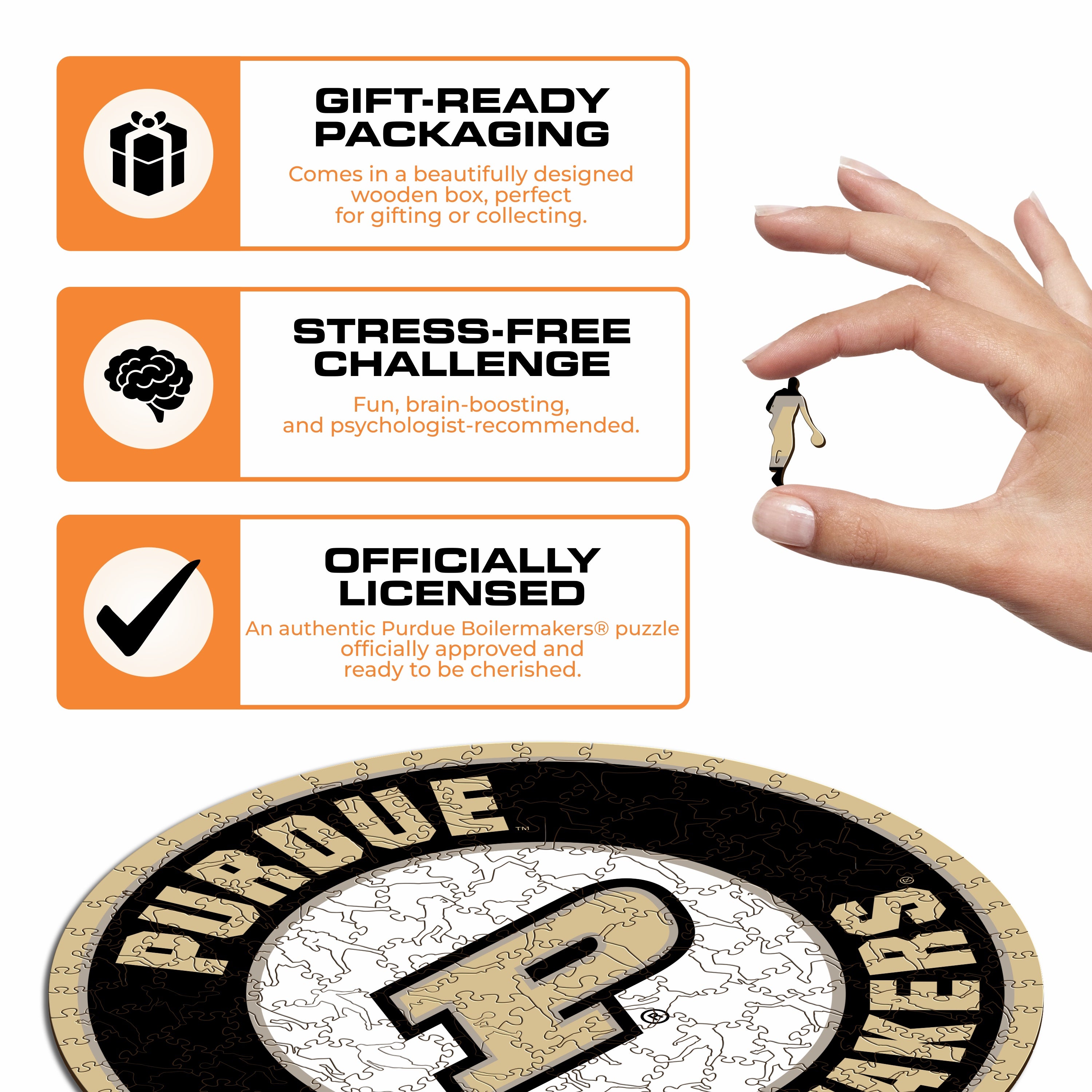 Purdue University - Wooden Puzzle