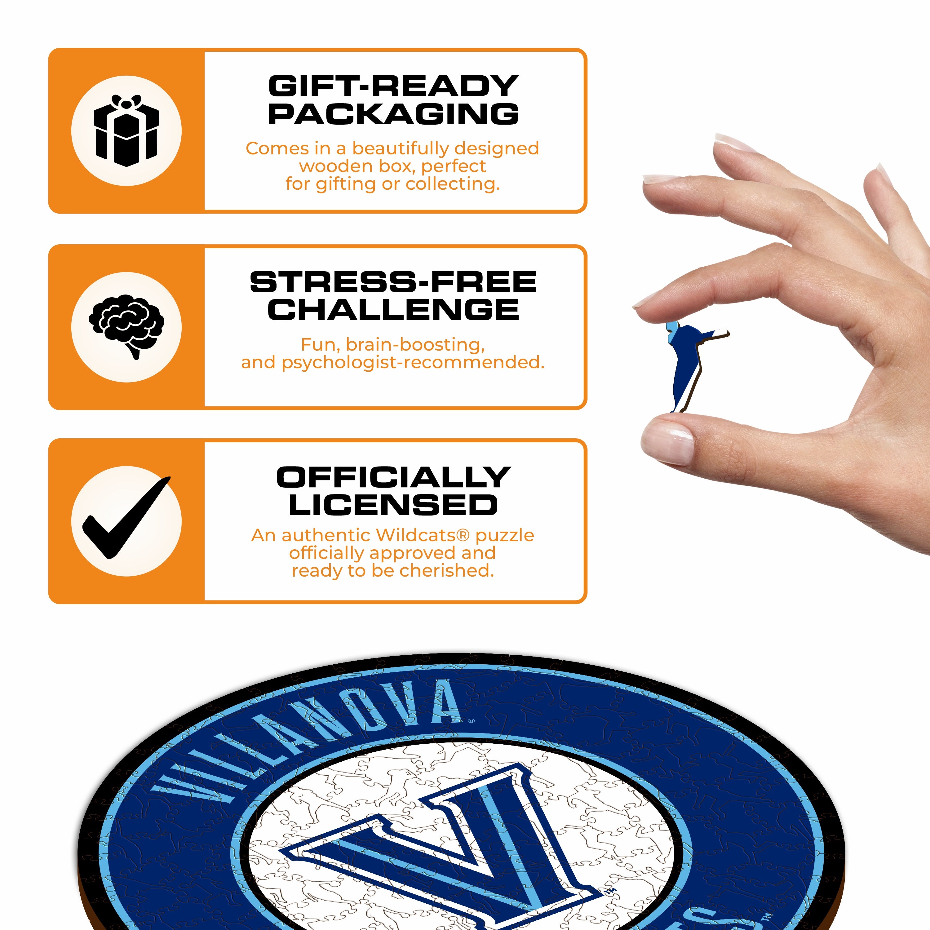 Villanova University - Wooden Puzzle