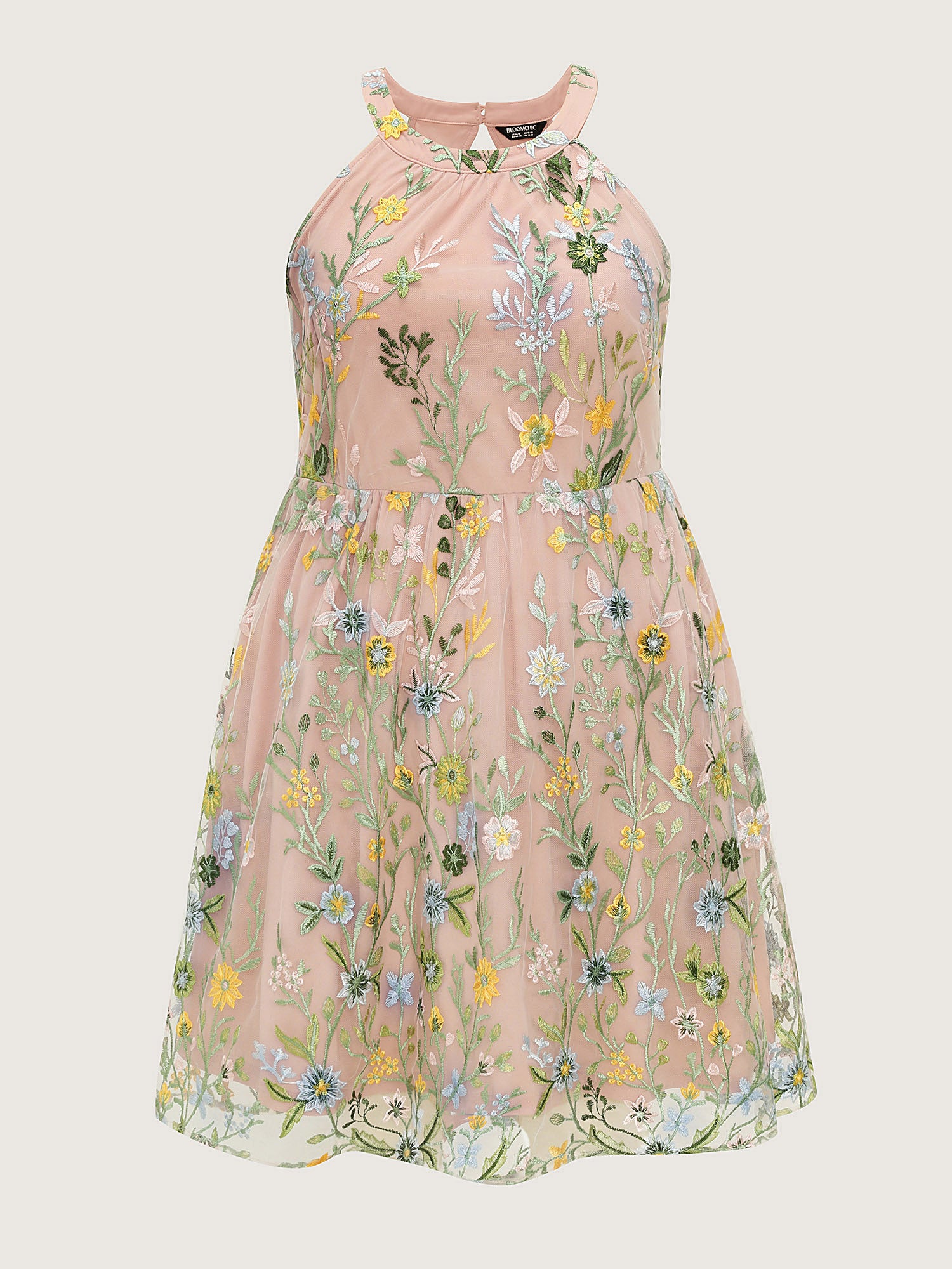 Floral Embroidered Mesh Fit And Flare Mini Dress