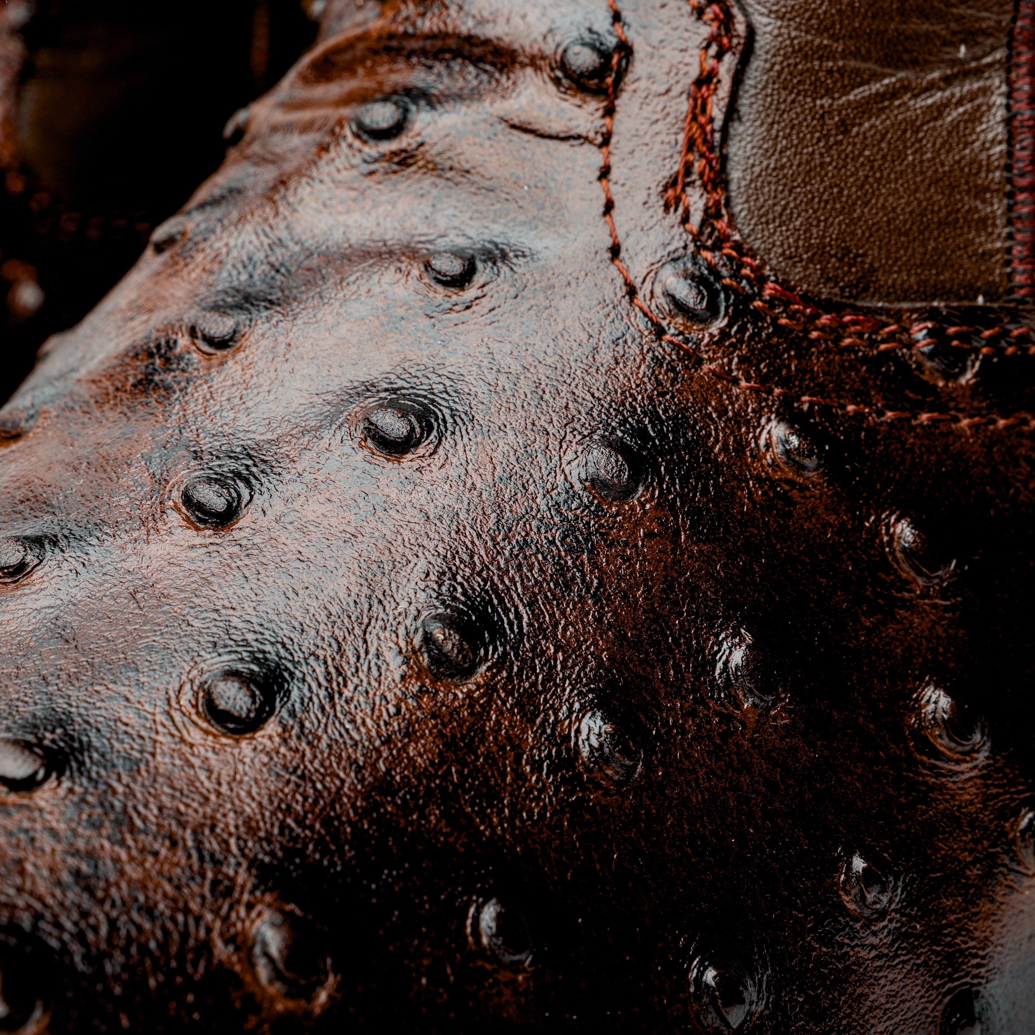 Chocolate Brown Ostrich Leather Boots - Square Toe