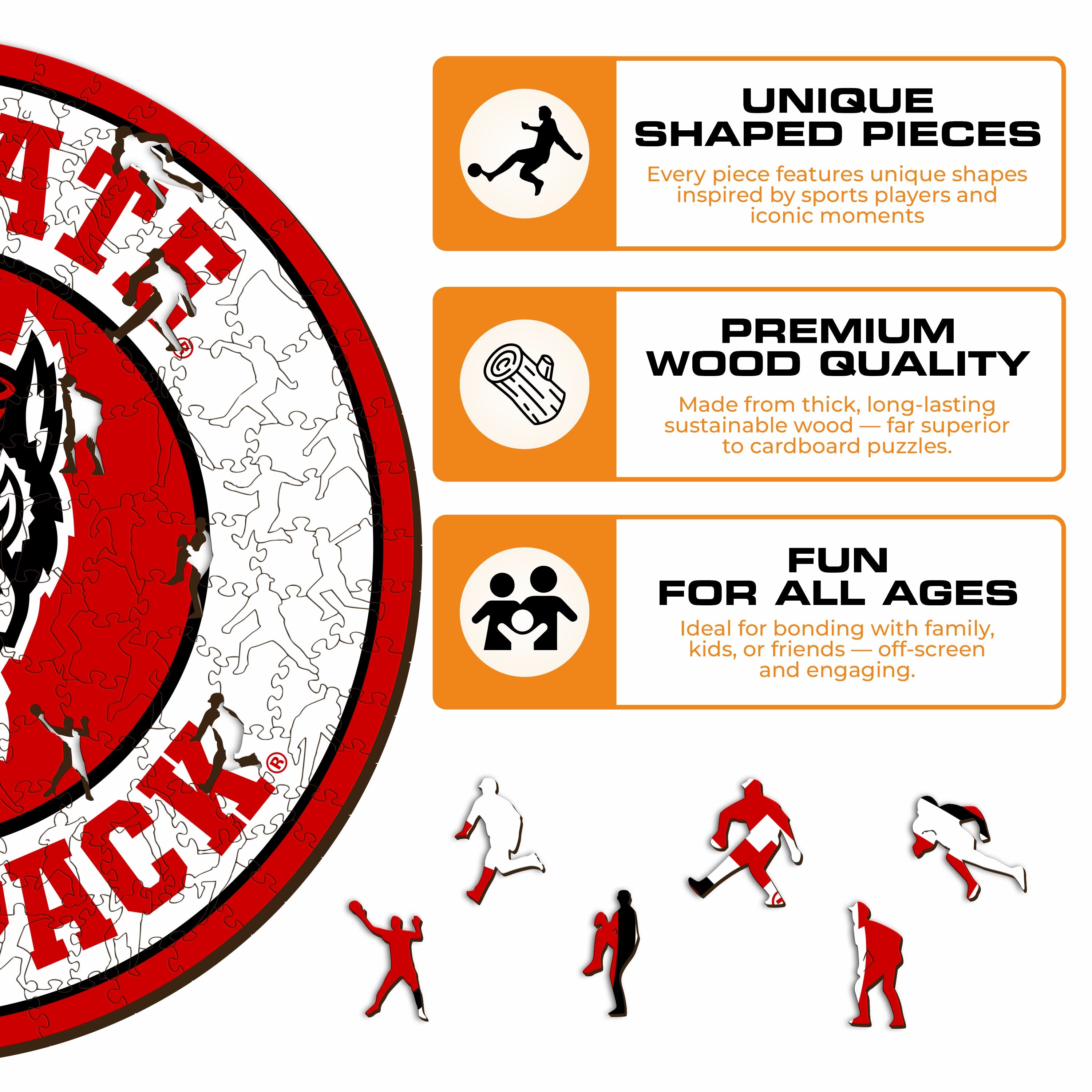 North Carolina State University - Wooden Puzzle