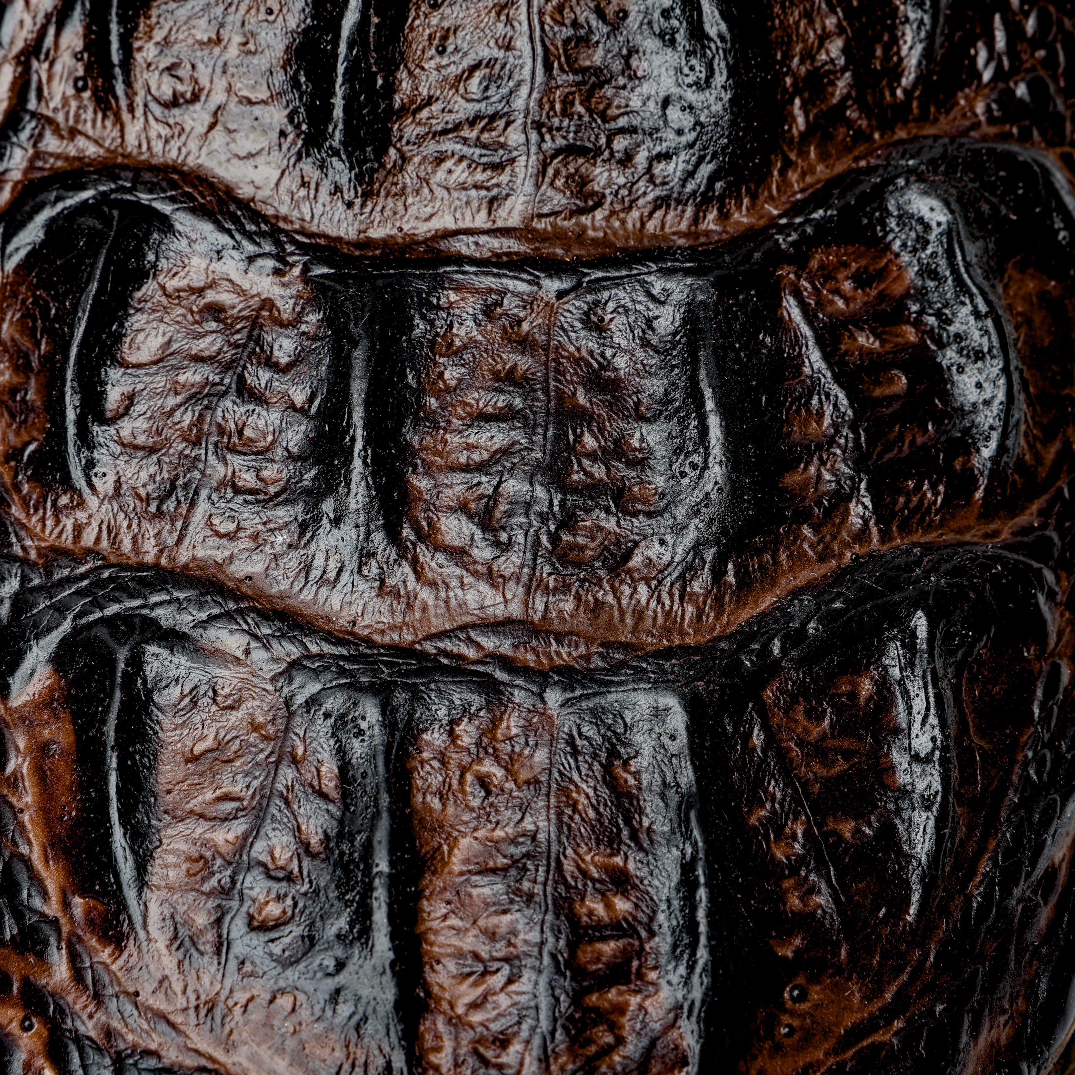 Brown Caiman Neck Leather Boots - Square Toe