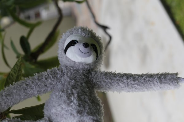 Slowla the Tree Sloth 14inch