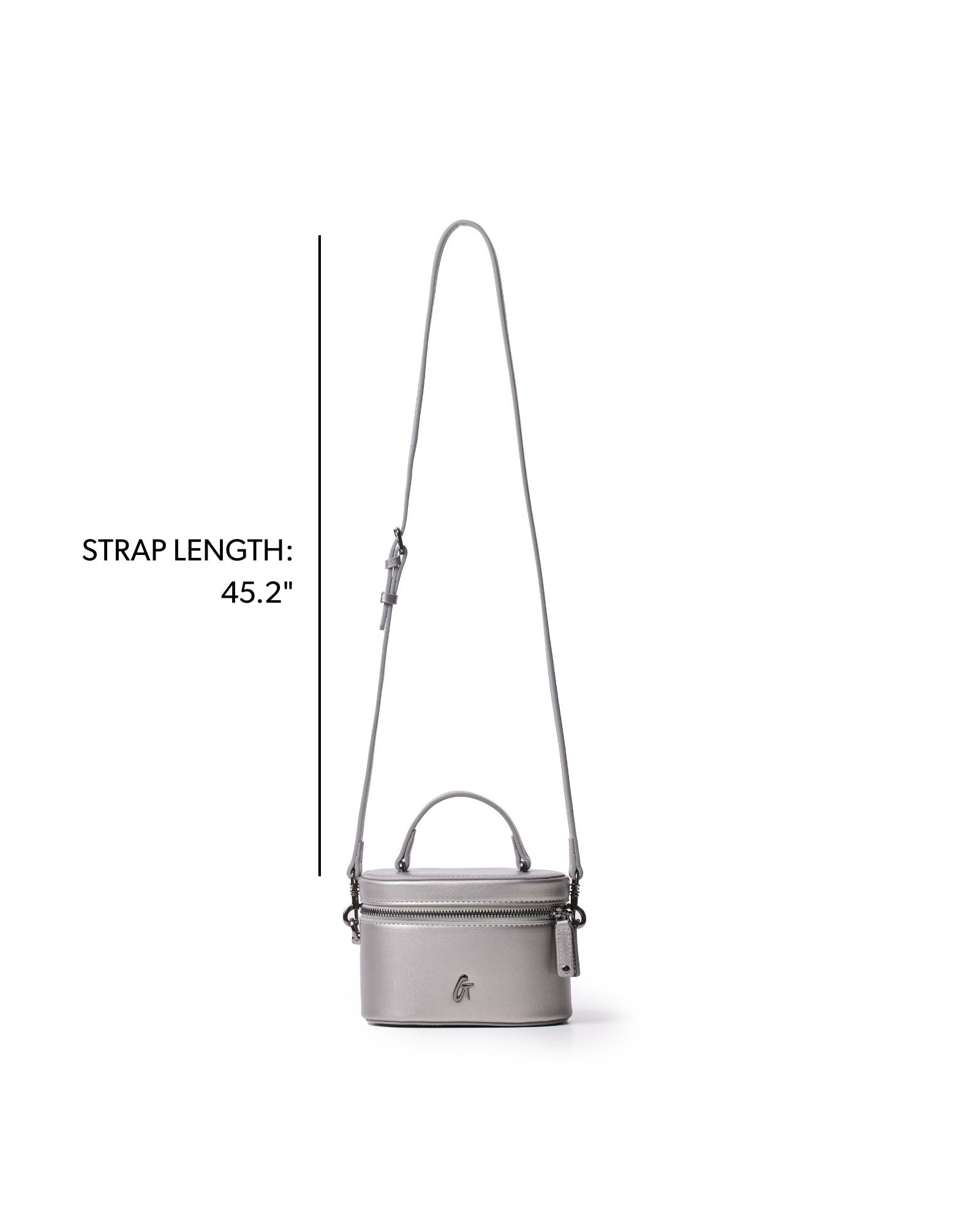 MINI SMOOTH GUNMETAL VANITY BAG - PLATINUM