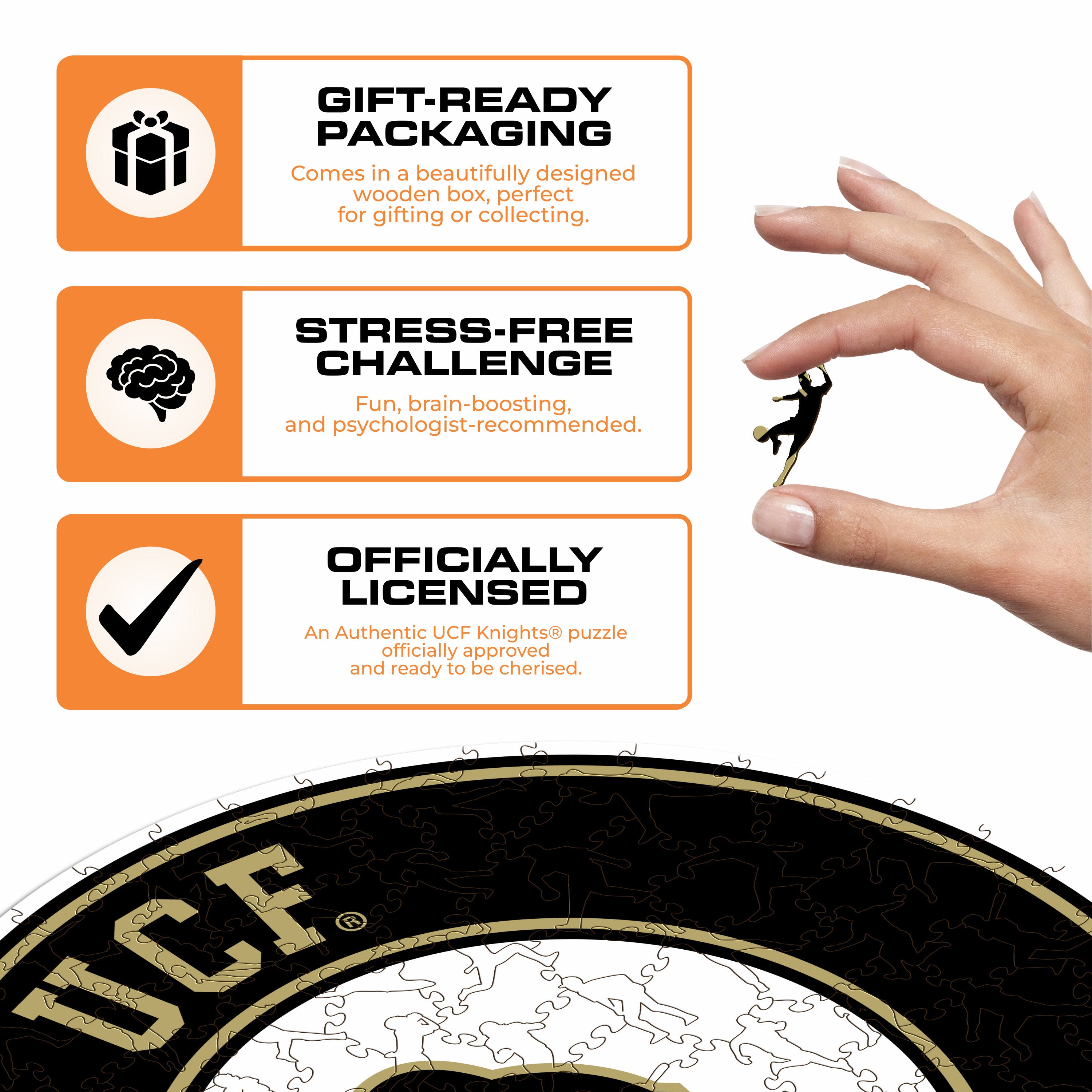 University of Central Florida - Wooden Puzzle