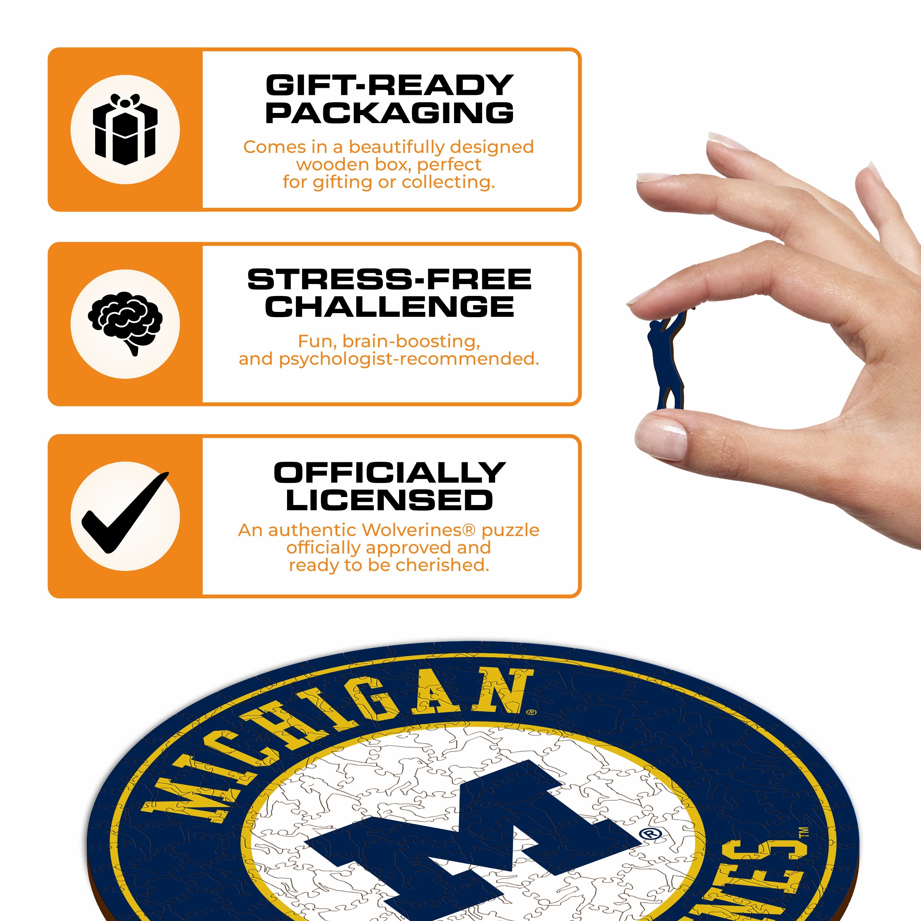 University of Michigan - Wooden Puzzle