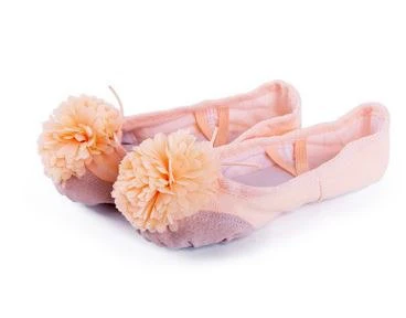 New Children Dancing Flower Soft  Shoes