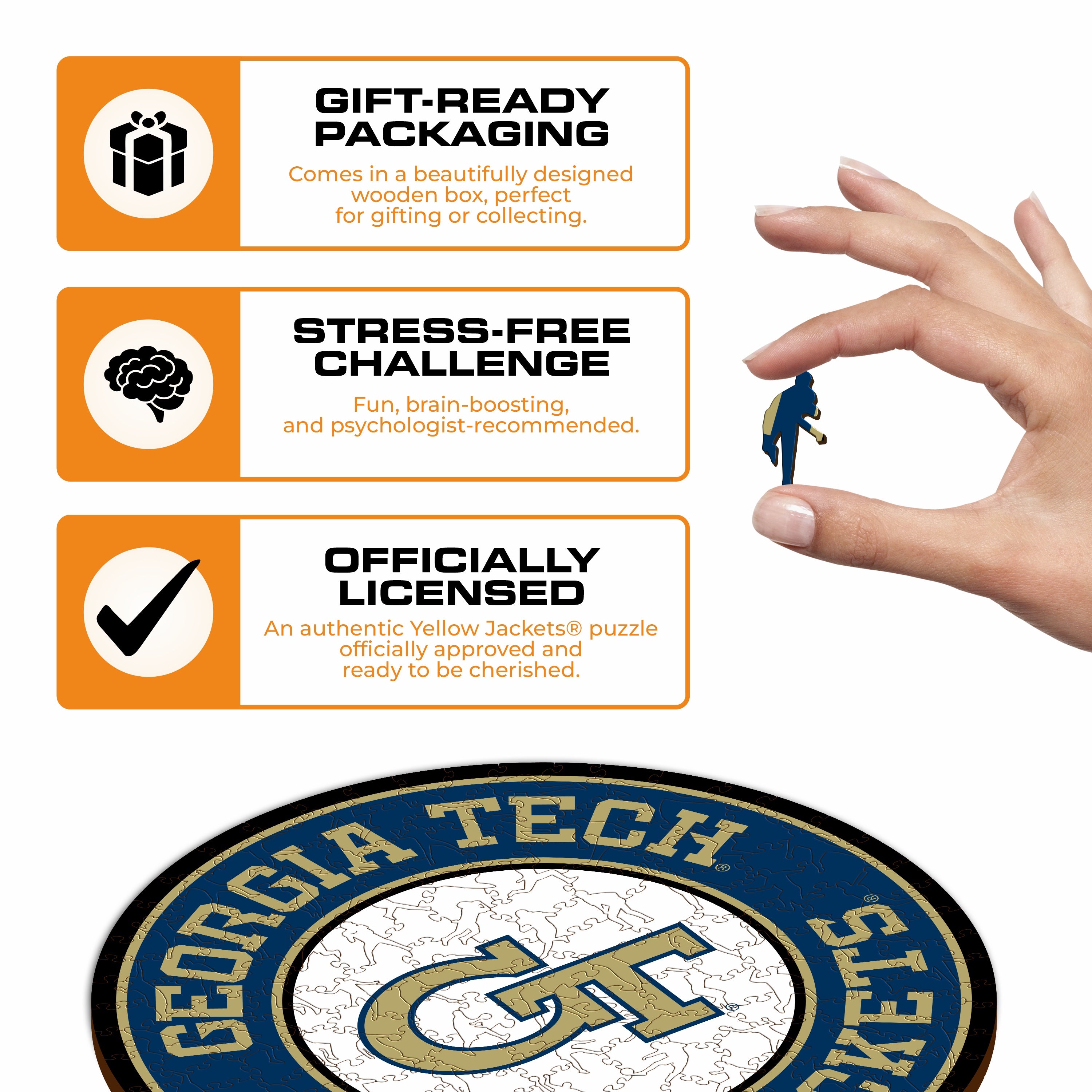 Georgia Tech - Wooden Puzzle