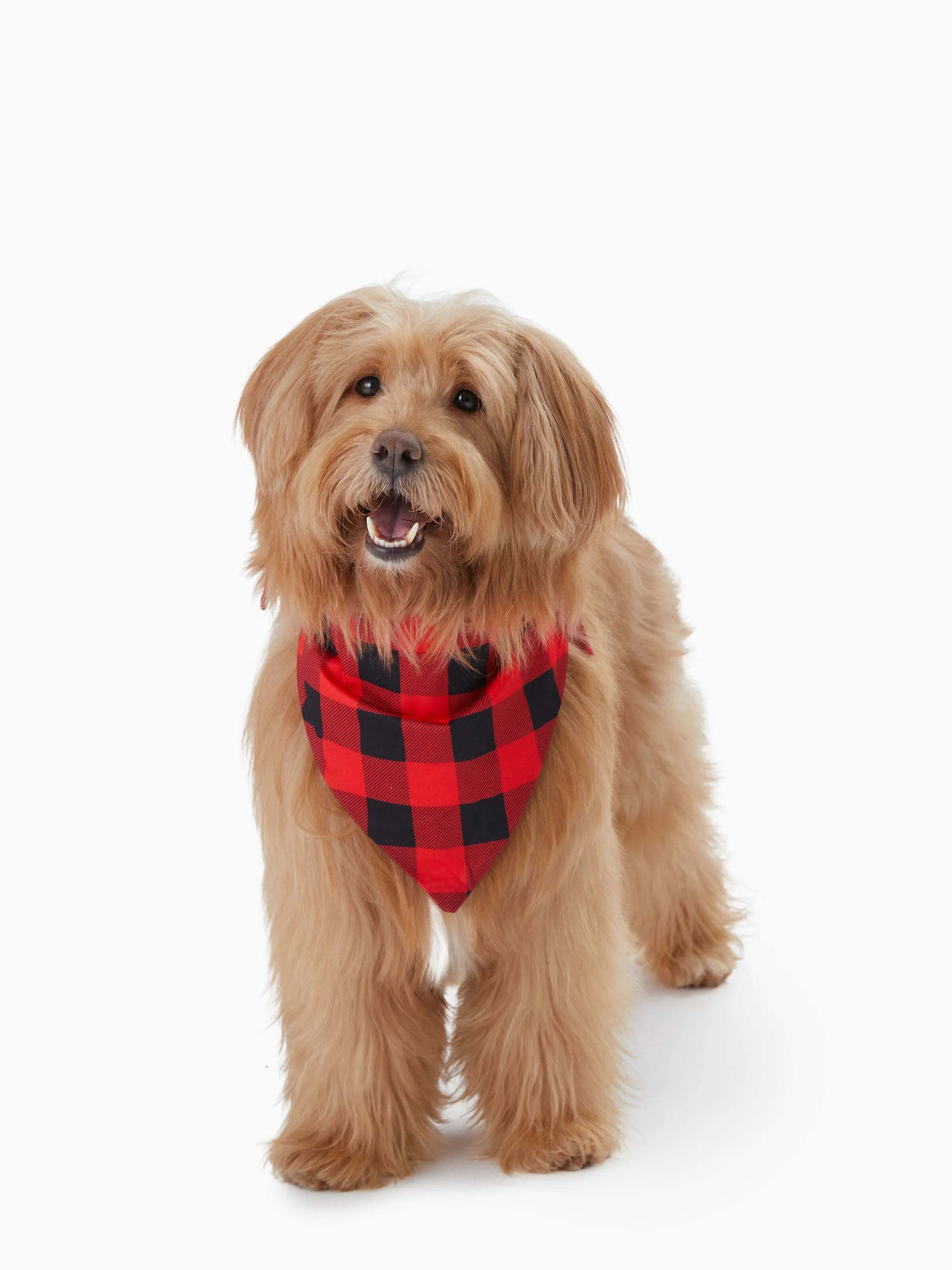 Christmas Family Matching Santa Print Raglan Sleeves Pajamas Sets with Christmas Socks (SGS Certied Safety) Red