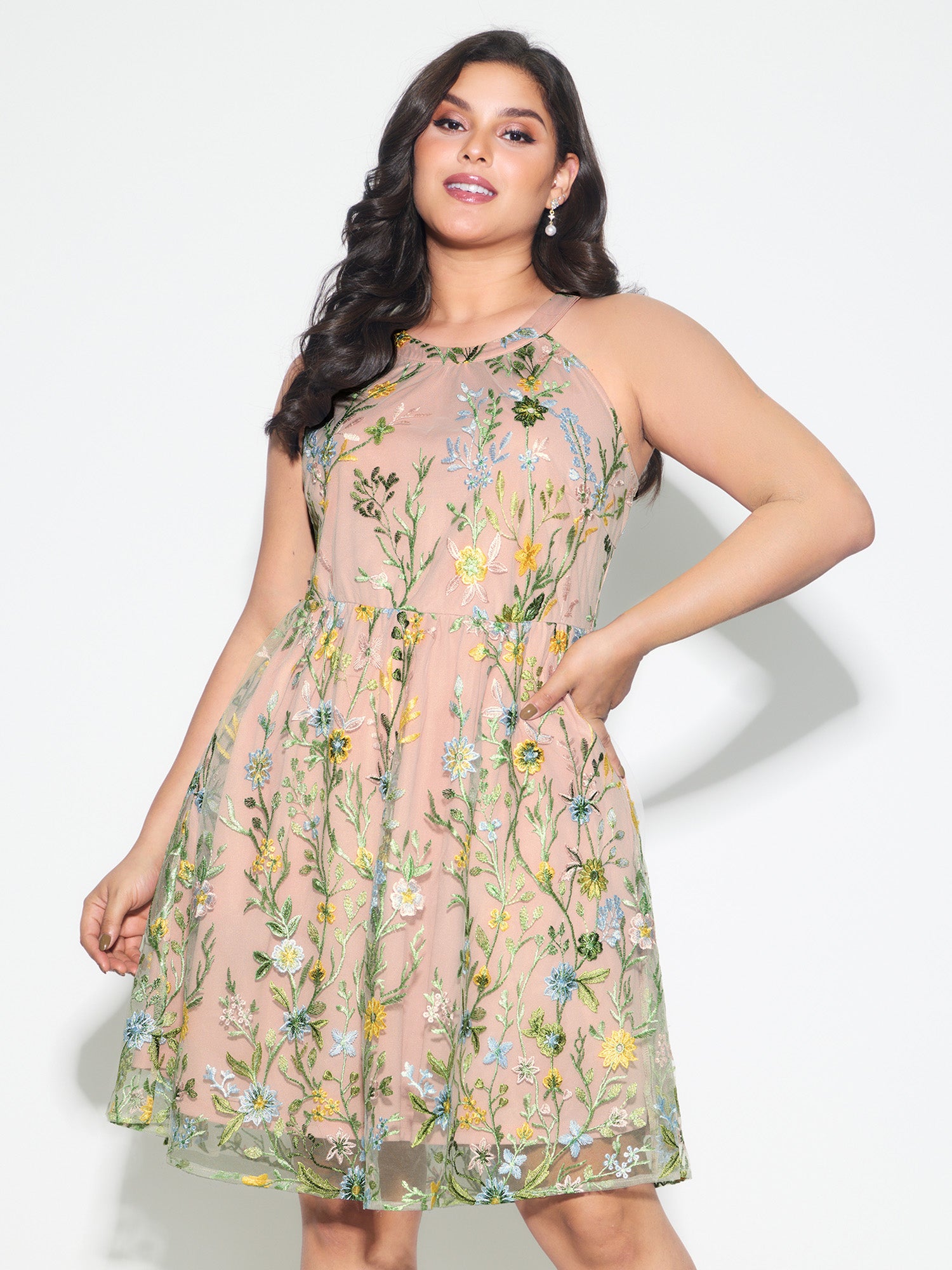 Floral Embroidered Mesh Fit And Flare Mini Dress