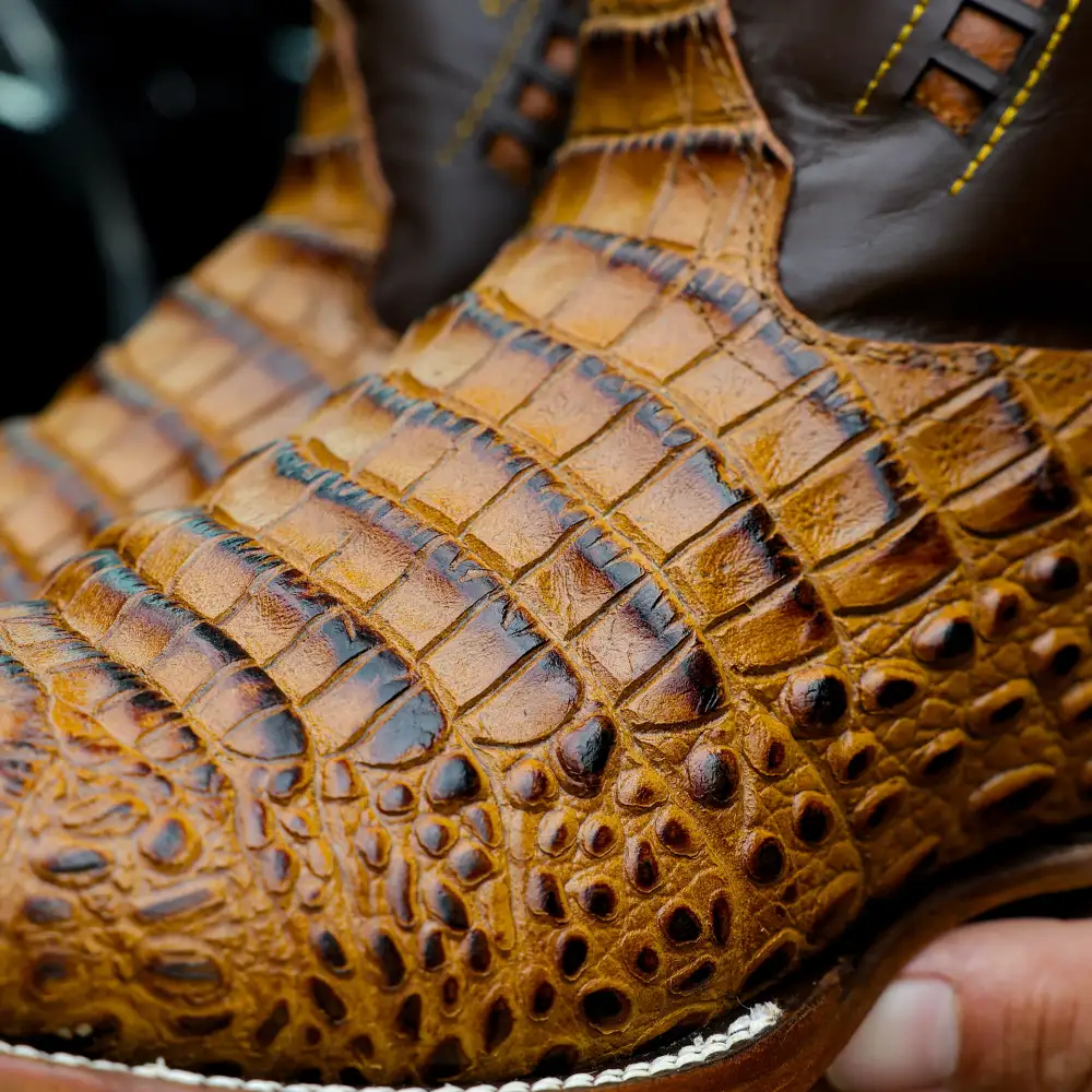 Honey Caiman Belly Leather Boots - Square Toe