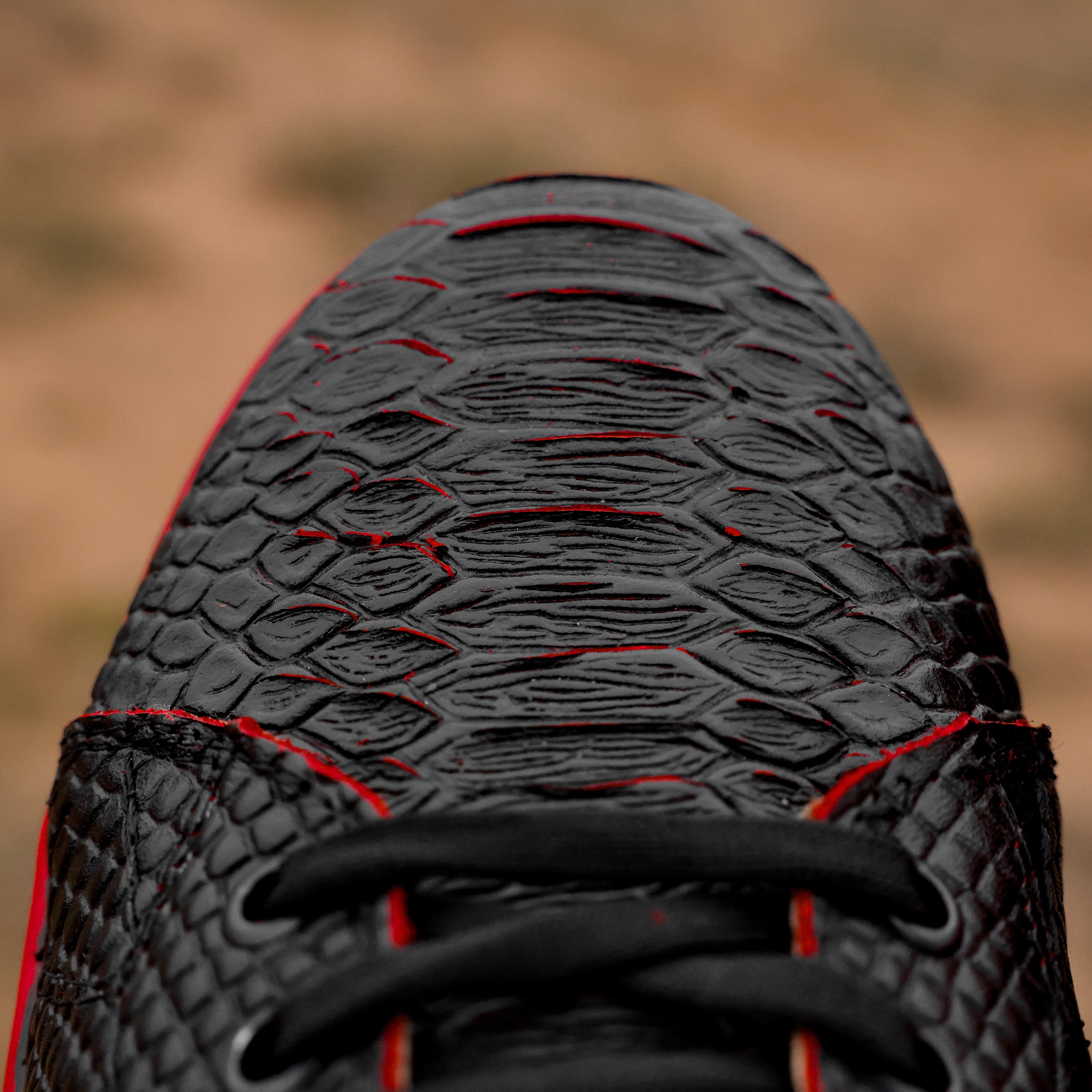 Black Cherry Python Leather Shoes