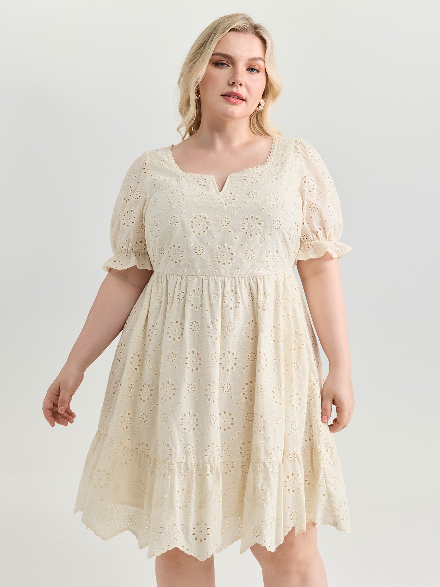 Embroidered Notched Collar Mini Dress