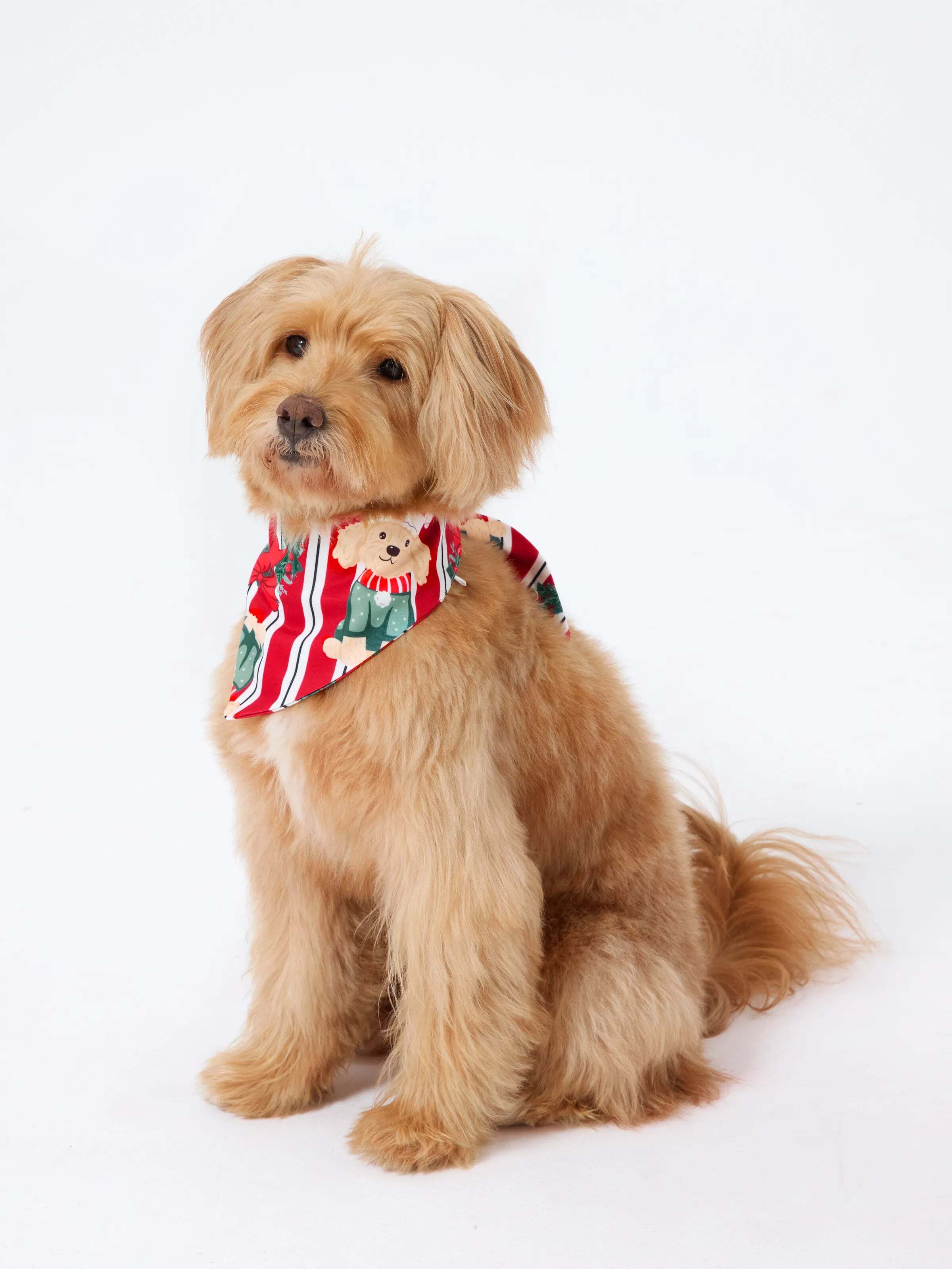 Christmas Matching Family Pajamas Set Christmas Doggy Print Red PJS Red