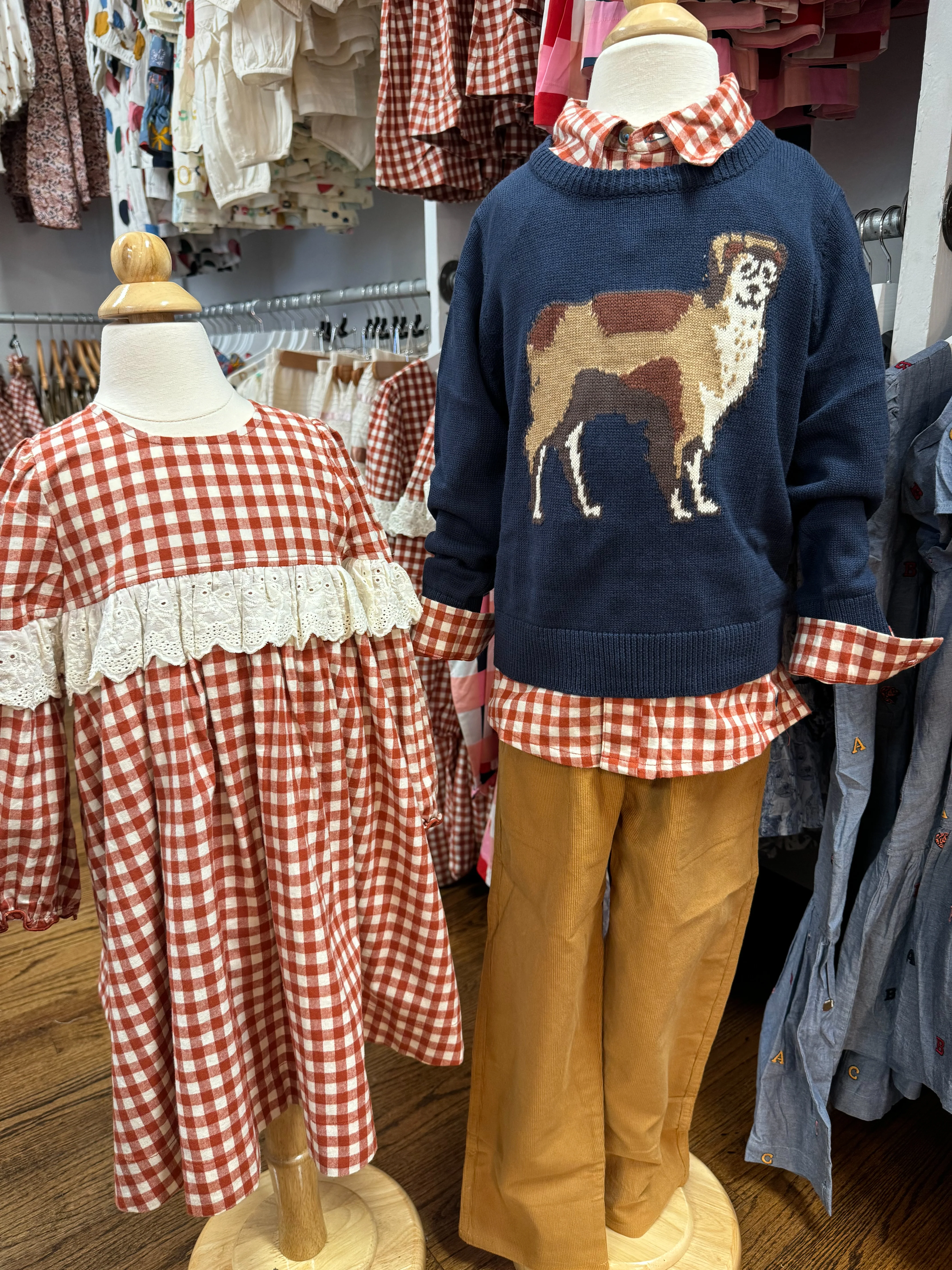 Girl's Dixie Pony Gingham Dress