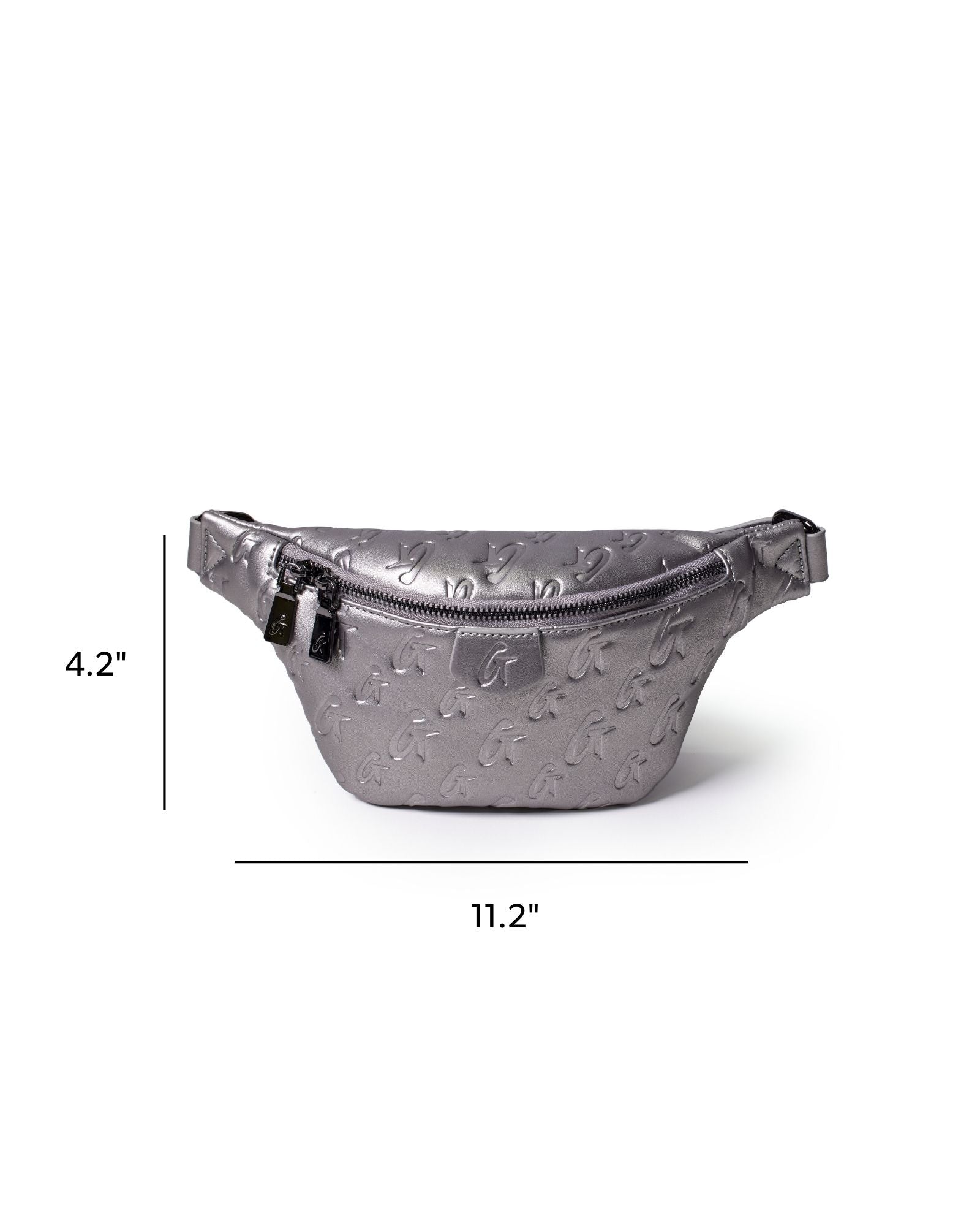 MINI MONOGRAM FANNY PACK - PLATINUM