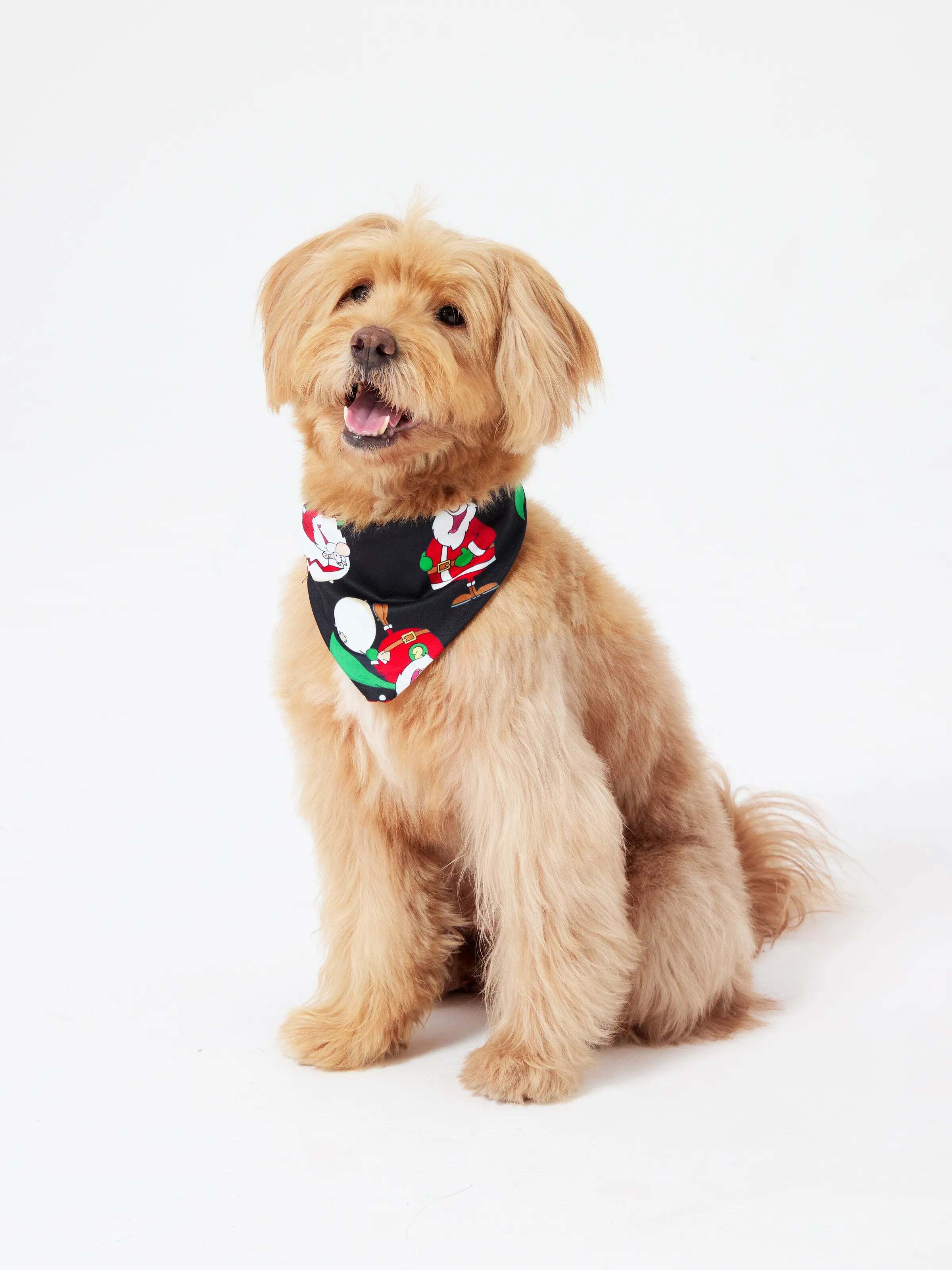 Christmas Matching Family Pajamas Set Christmas Santa Print Black and White PJS with Christmas Socks Black