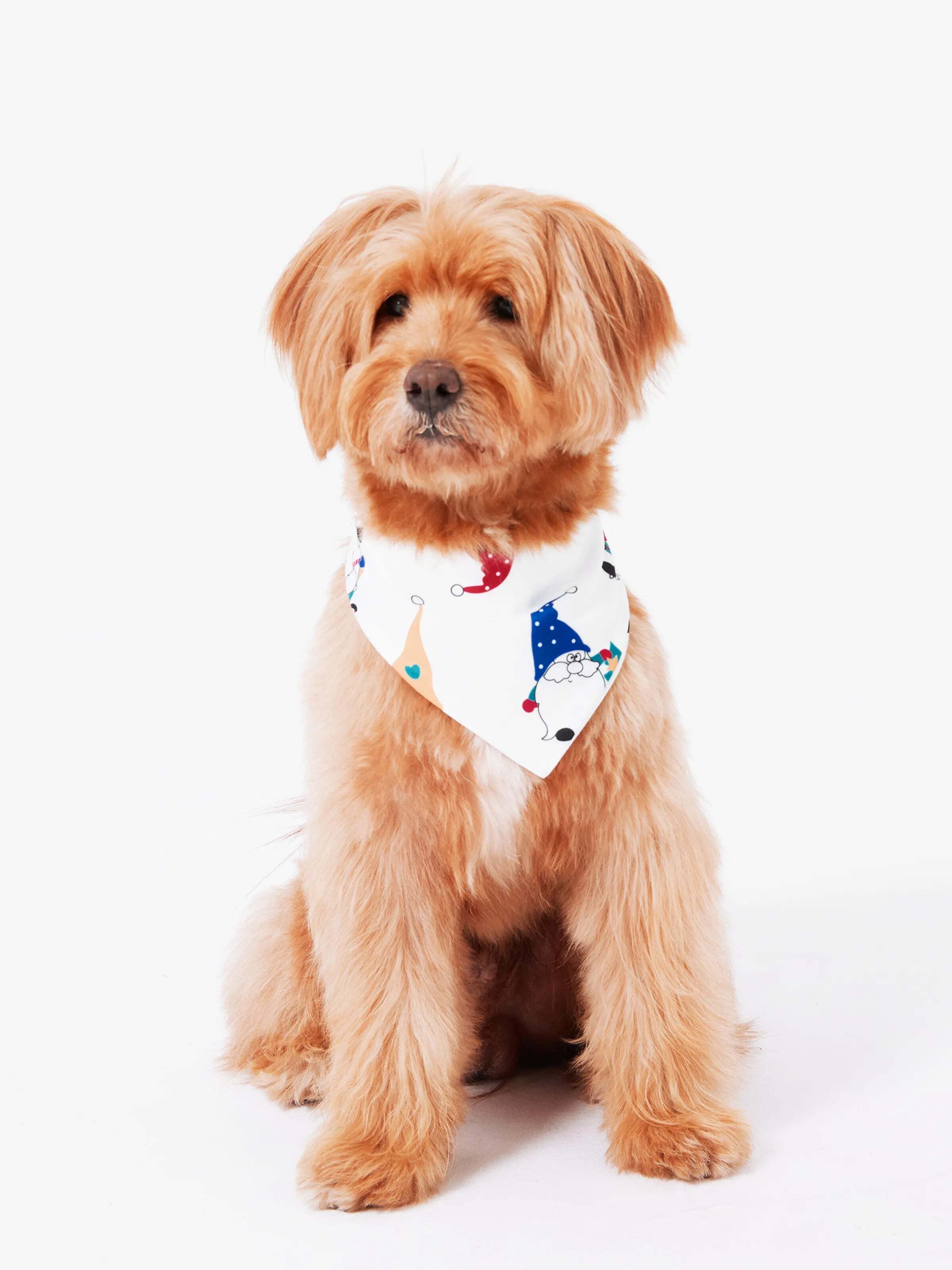 Christmas Matching Family Pajamas Set Christmas Gnome Print PJS with Christmas Socks Red